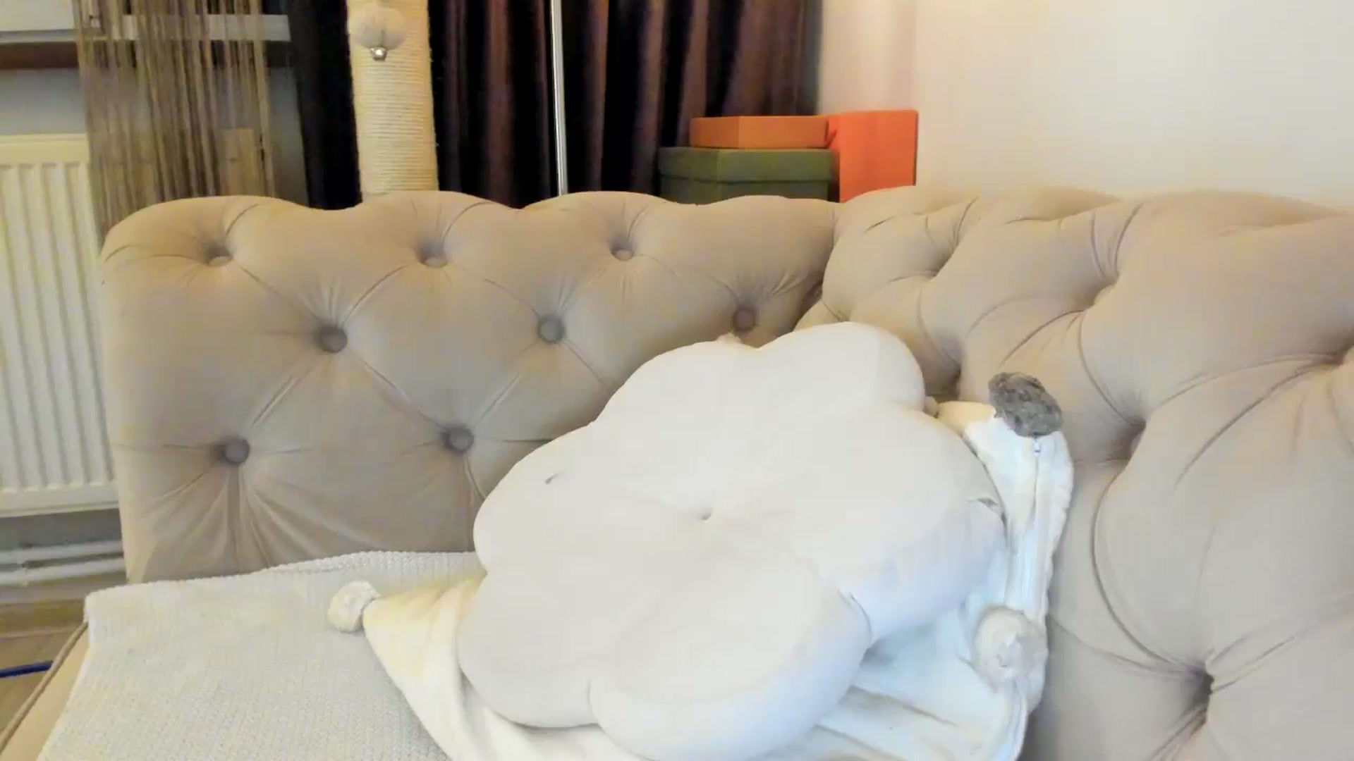 Gallery image thumbnail from SashaLopez's myfreecams stream on, 01/25/2025, 24:06 image 8 of 20
