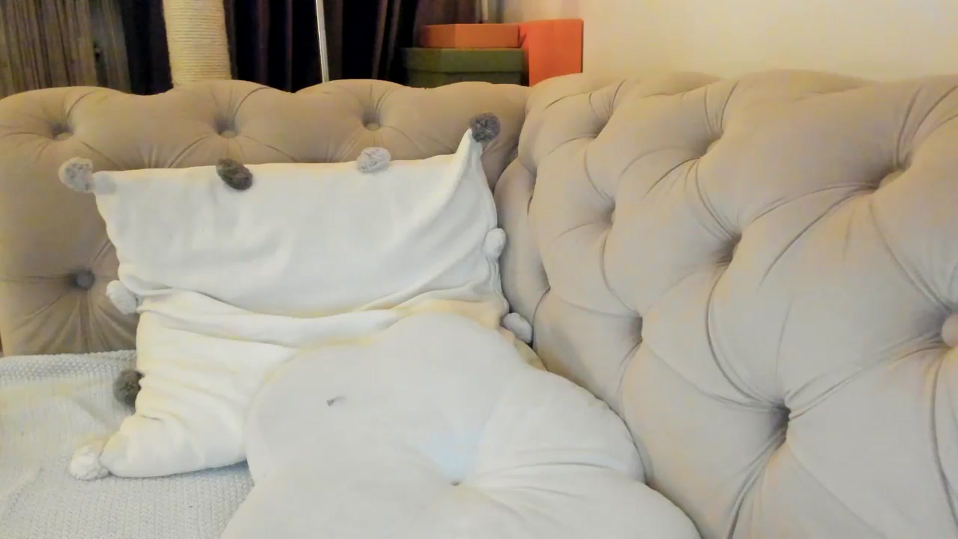 Gallery image thumbnail from SashaLopez's myfreecams stream on, 01/25/2025, 01:12 image 7 of 20