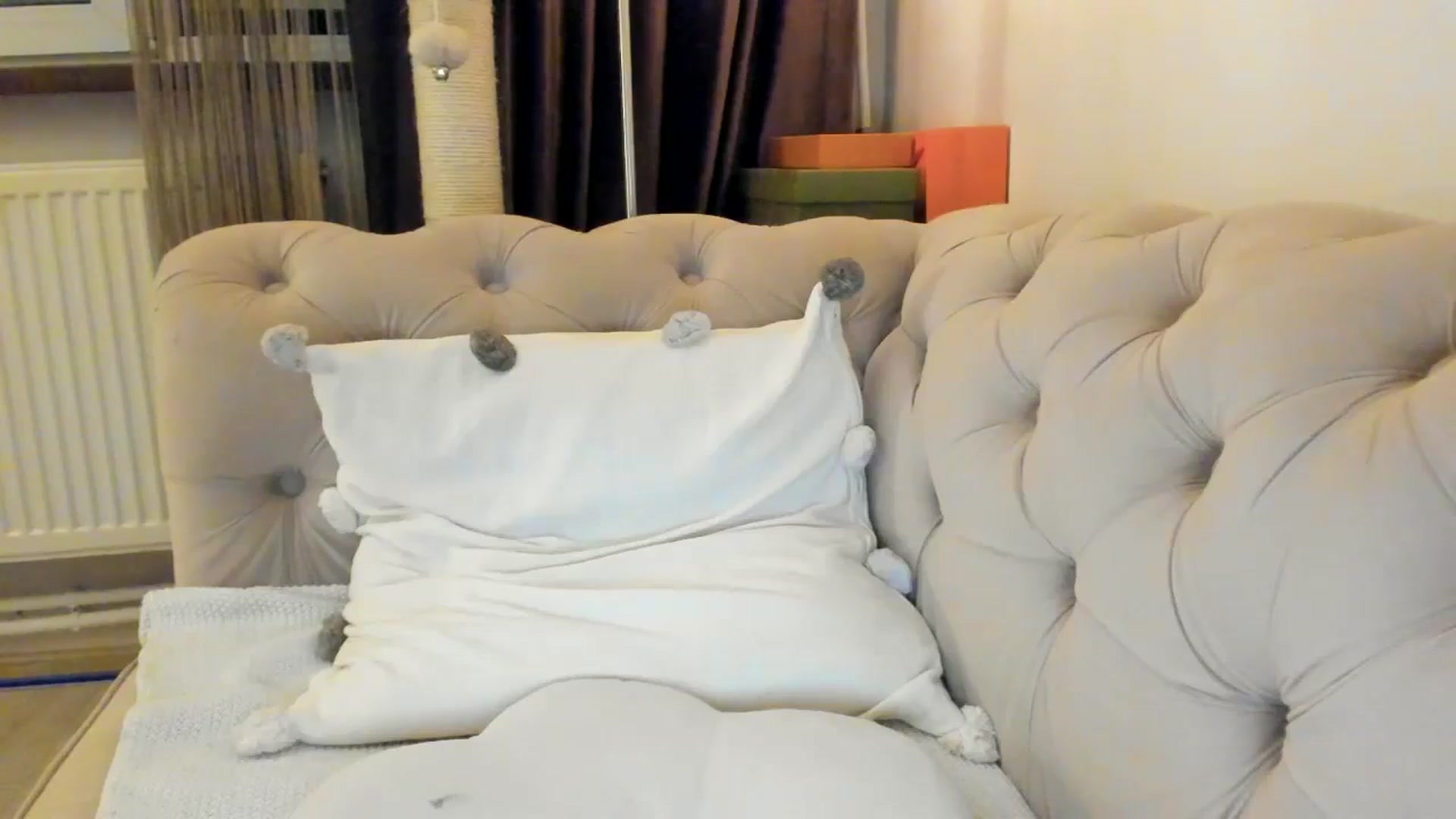 Gallery image thumbnail from SashaLopez's myfreecams stream on, 01/25/2025, 01:12 image 3 of 20