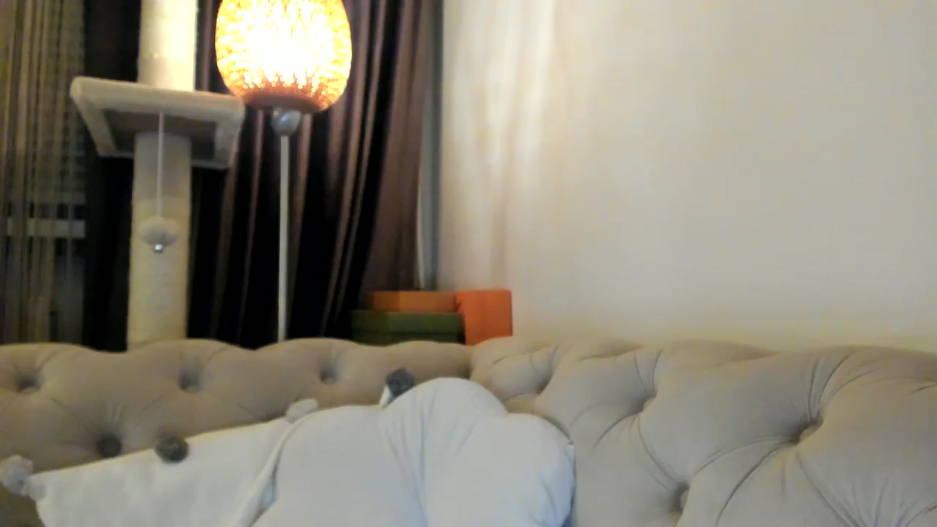 Gallery image thumbnail from SashaLopez's myfreecams stream on, 01/25/2025, 01:12 image 16 of 20