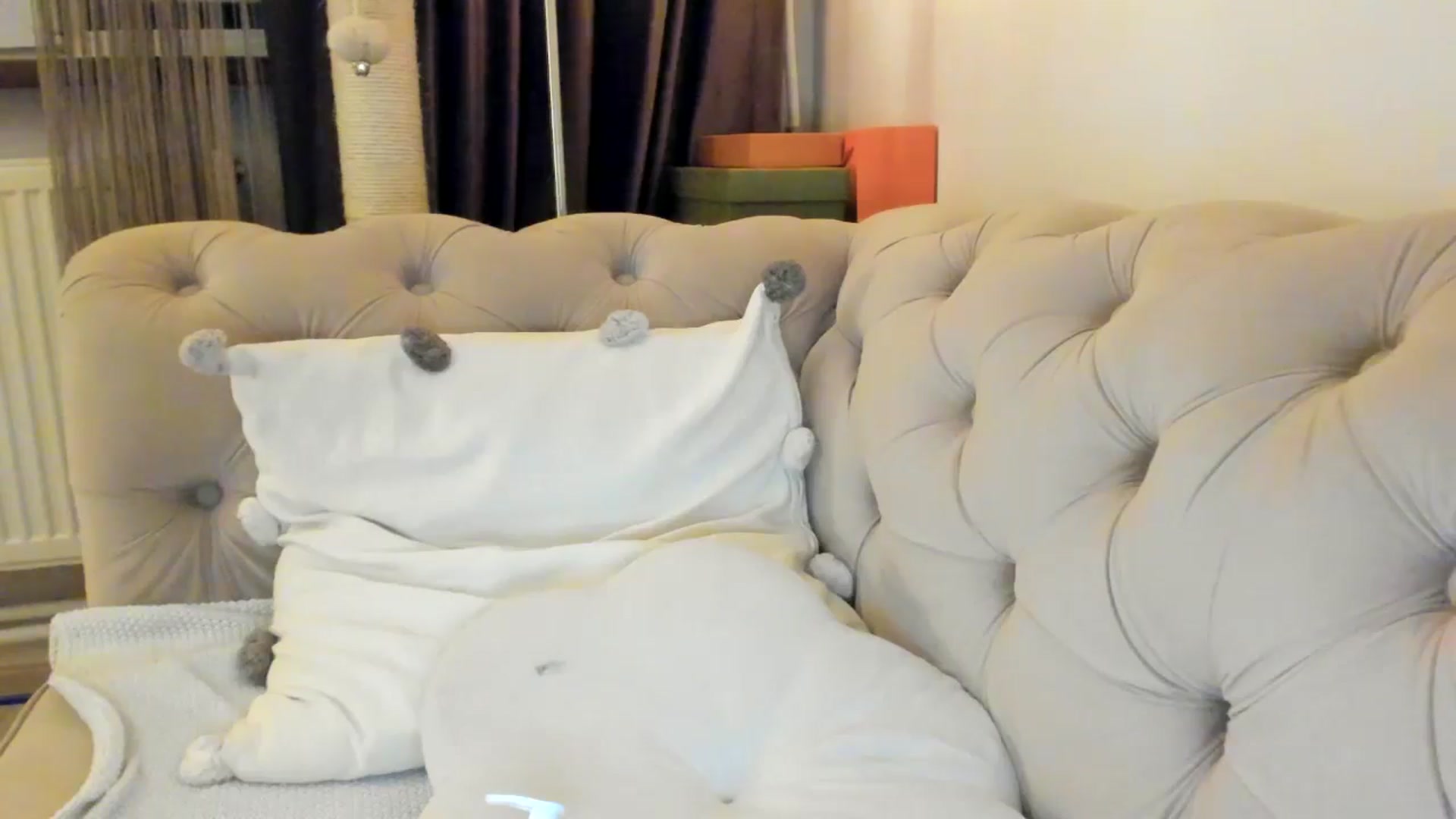 Gallery image thumbnail from SashaLopez's myfreecams stream on, 01/25/2025, 01:12 image 4 of 20