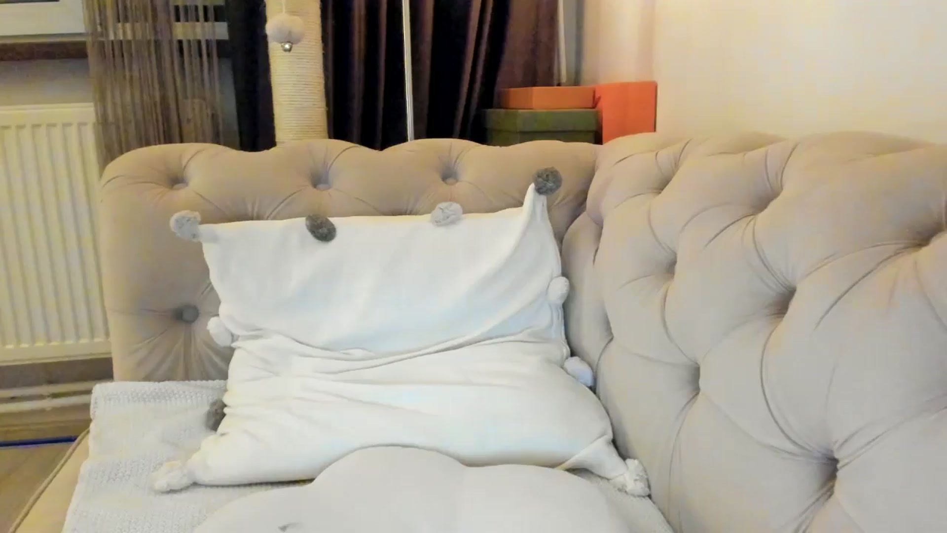 Gallery image thumbnail from SashaLopez's myfreecams stream on, 01/25/2025, 01:12 image 1 of 20