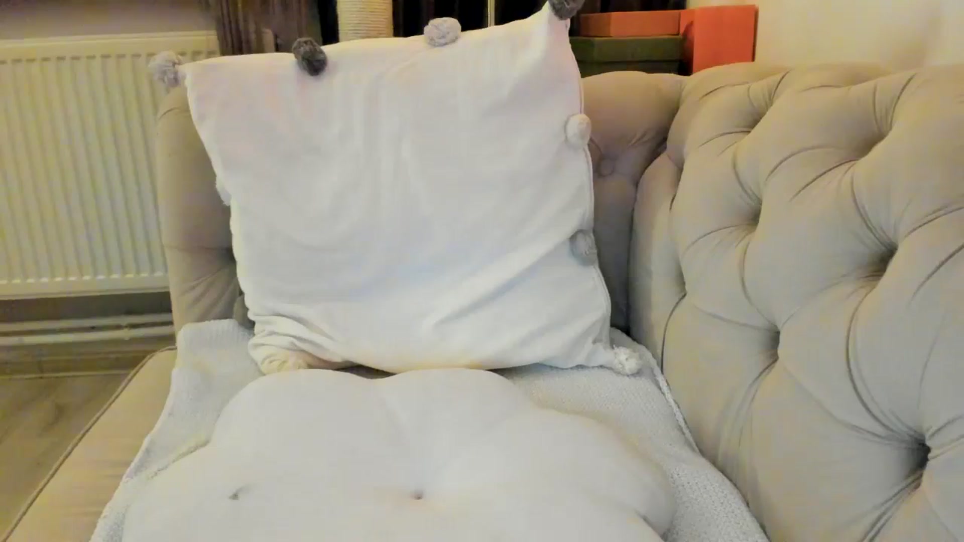 Gallery image thumbnail from SashaLopez's myfreecams stream on, 01/26/2025, 23:27 image 15 of 20