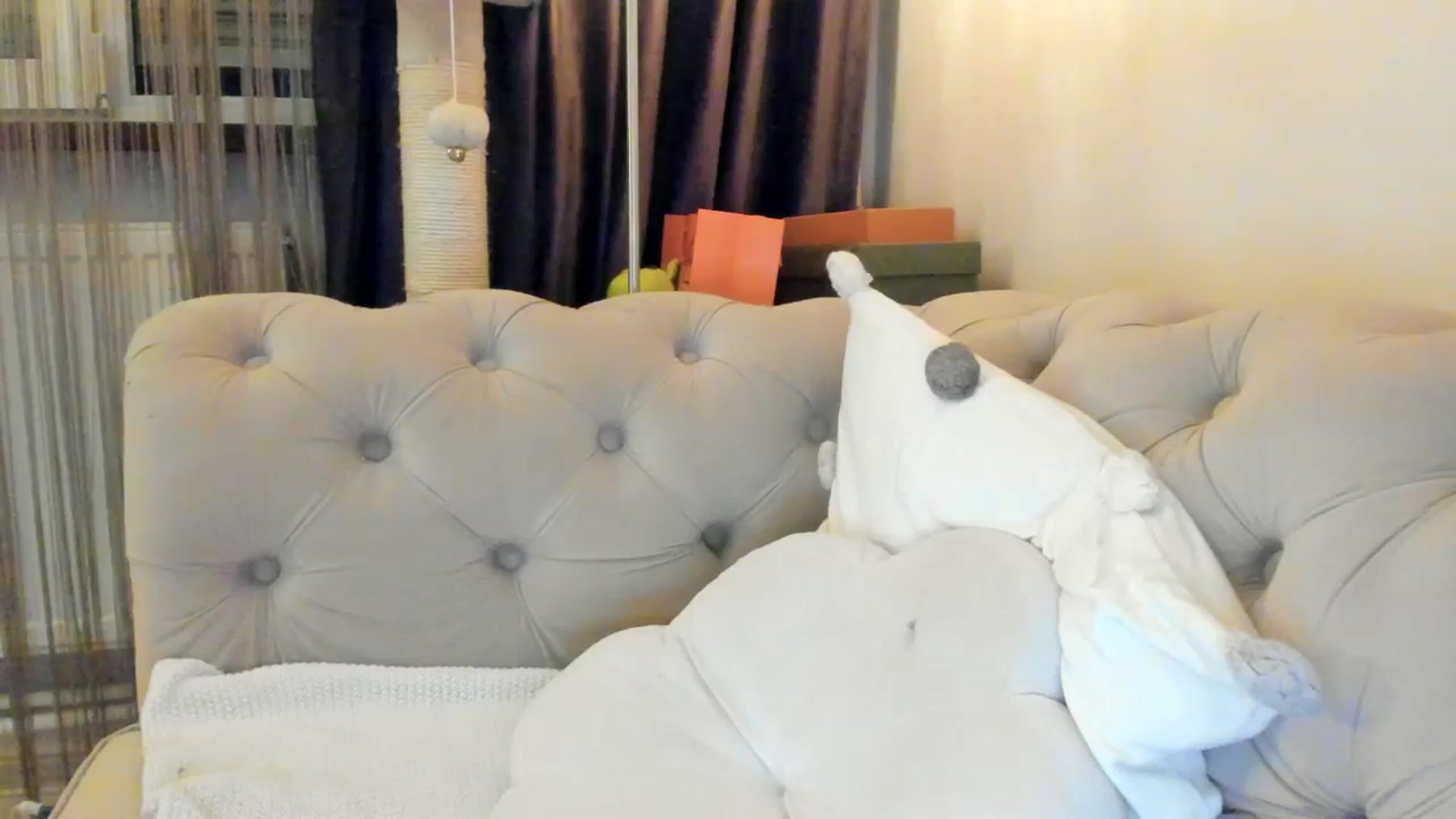 Gallery image thumbnail from SashaLopez's myfreecams stream on, 02/01/2025, 23:54 image 2 of 20