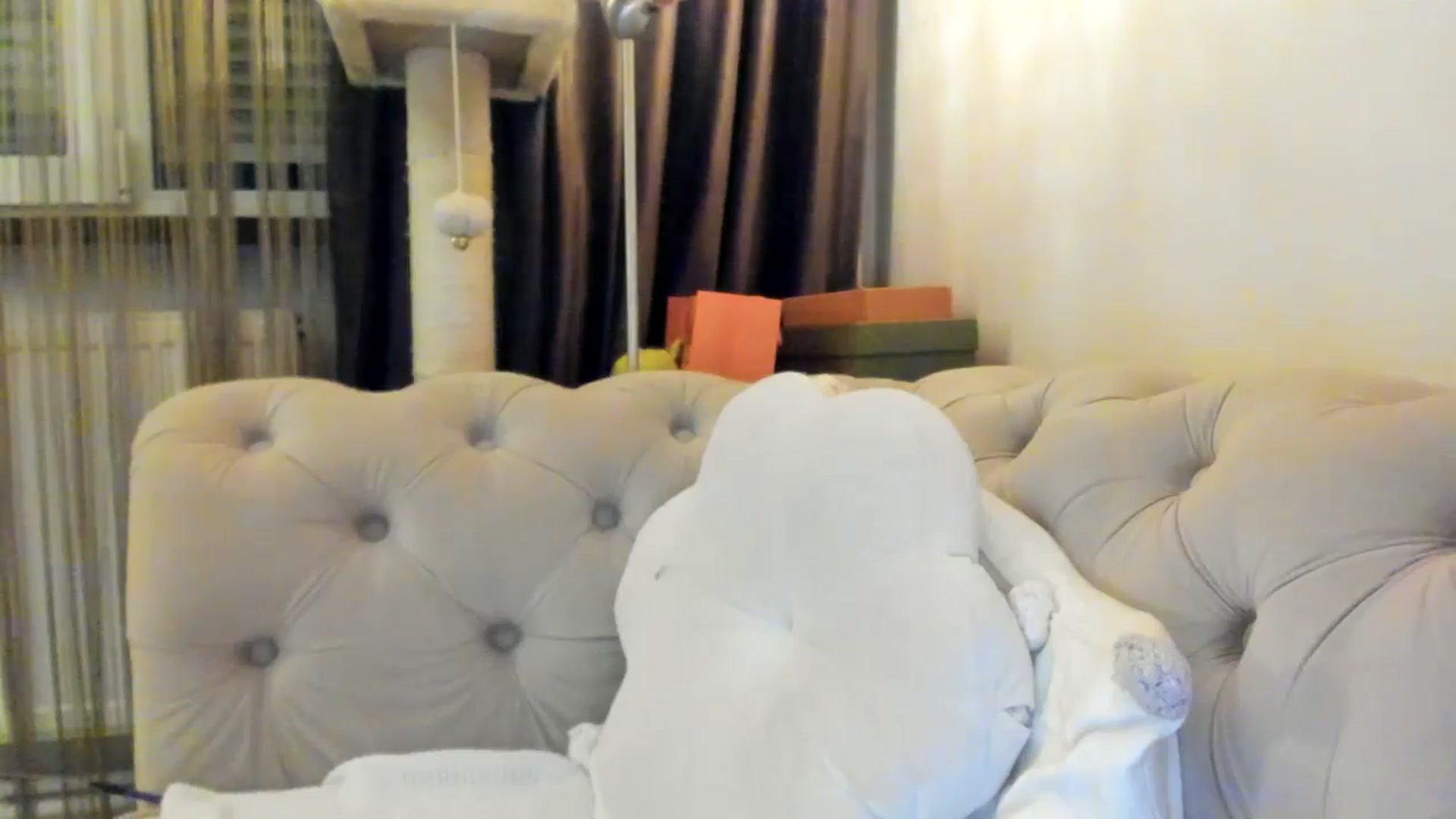 Gallery image thumbnail from SashaLopez's myfreecams stream on, 02/01/2025, 23:54 image 19 of 20