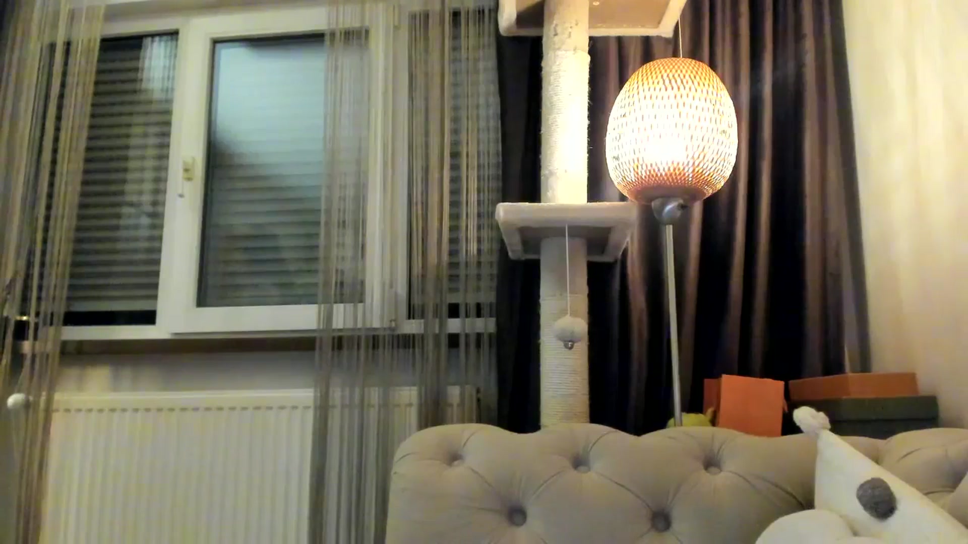Gallery image thumbnail from SashaLopez's myfreecams stream on, 02/01/2025, 23:54 image 14 of 20