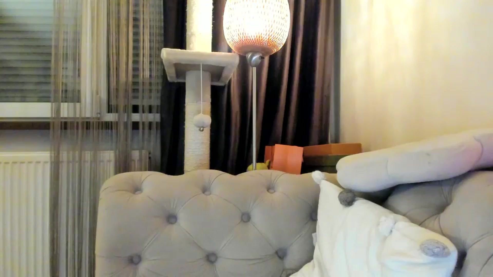 Gallery image thumbnail from SashaLopez's myfreecams stream on, 02/01/2025, 23:54 image 11 of 20