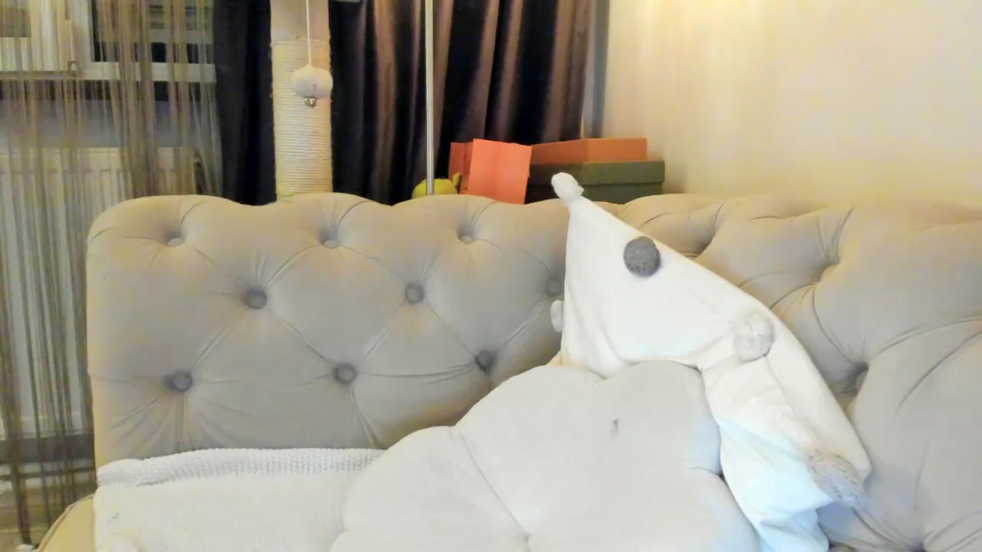 Gallery image thumbnail from SashaLopez's myfreecams stream on, 02/01/2025, 23:54 image 5 of 20