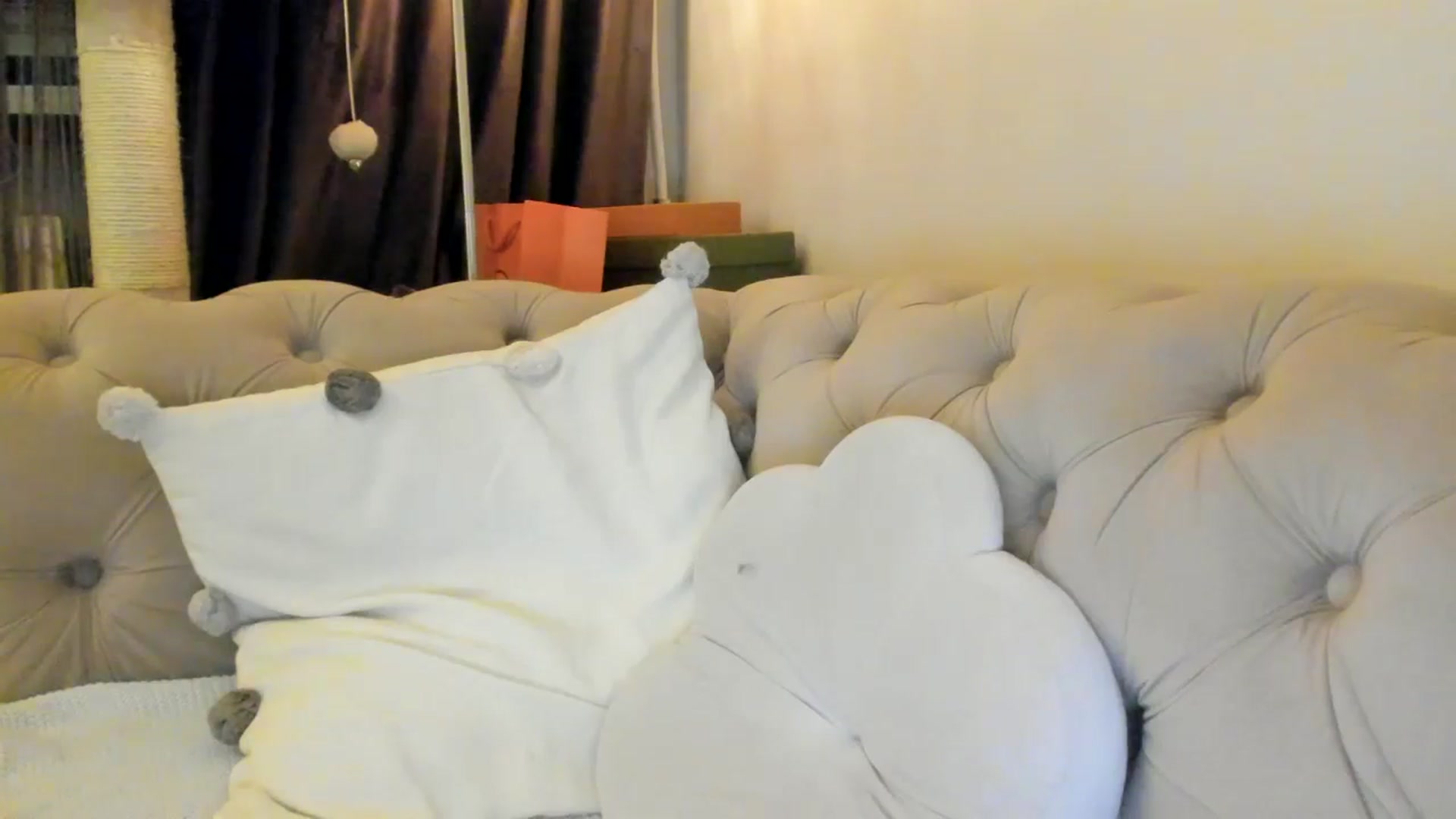 Gallery image thumbnail from SashaLopez's myfreecams stream on, 02/07/2025, 01:11 image 13 of 20