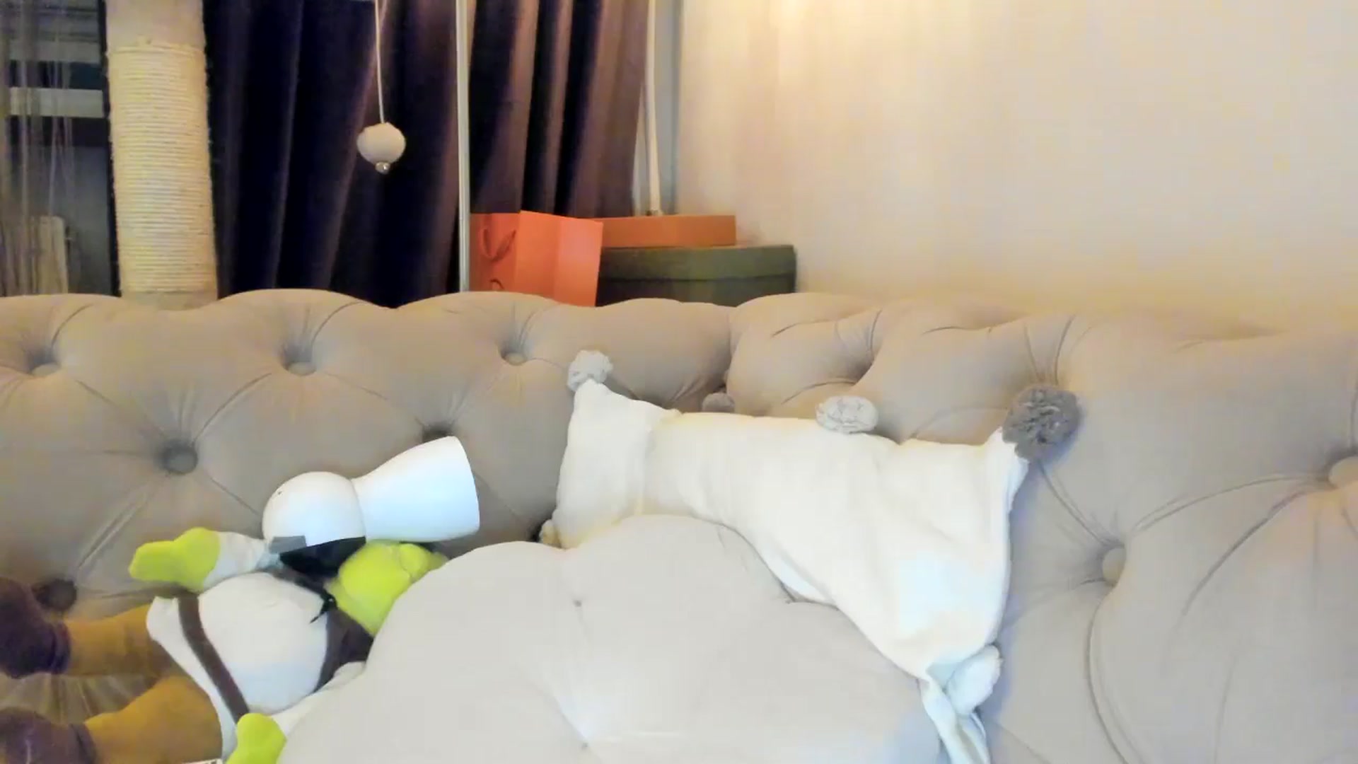 Gallery image thumbnail from SashaLopez's myfreecams stream on, 02/09/2025, 24:15 image 10 of 20
