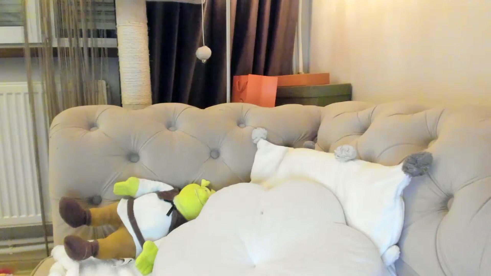 Gallery image thumbnail from SashaLopez's myfreecams stream on, 02/09/2025, 24:15 image 13 of 20