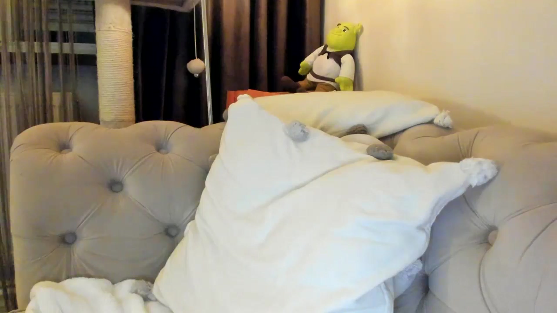 Gallery image thumbnail from SashaLopez's myfreecams stream on, 02/14/2025, 20:57 image 10 of 20