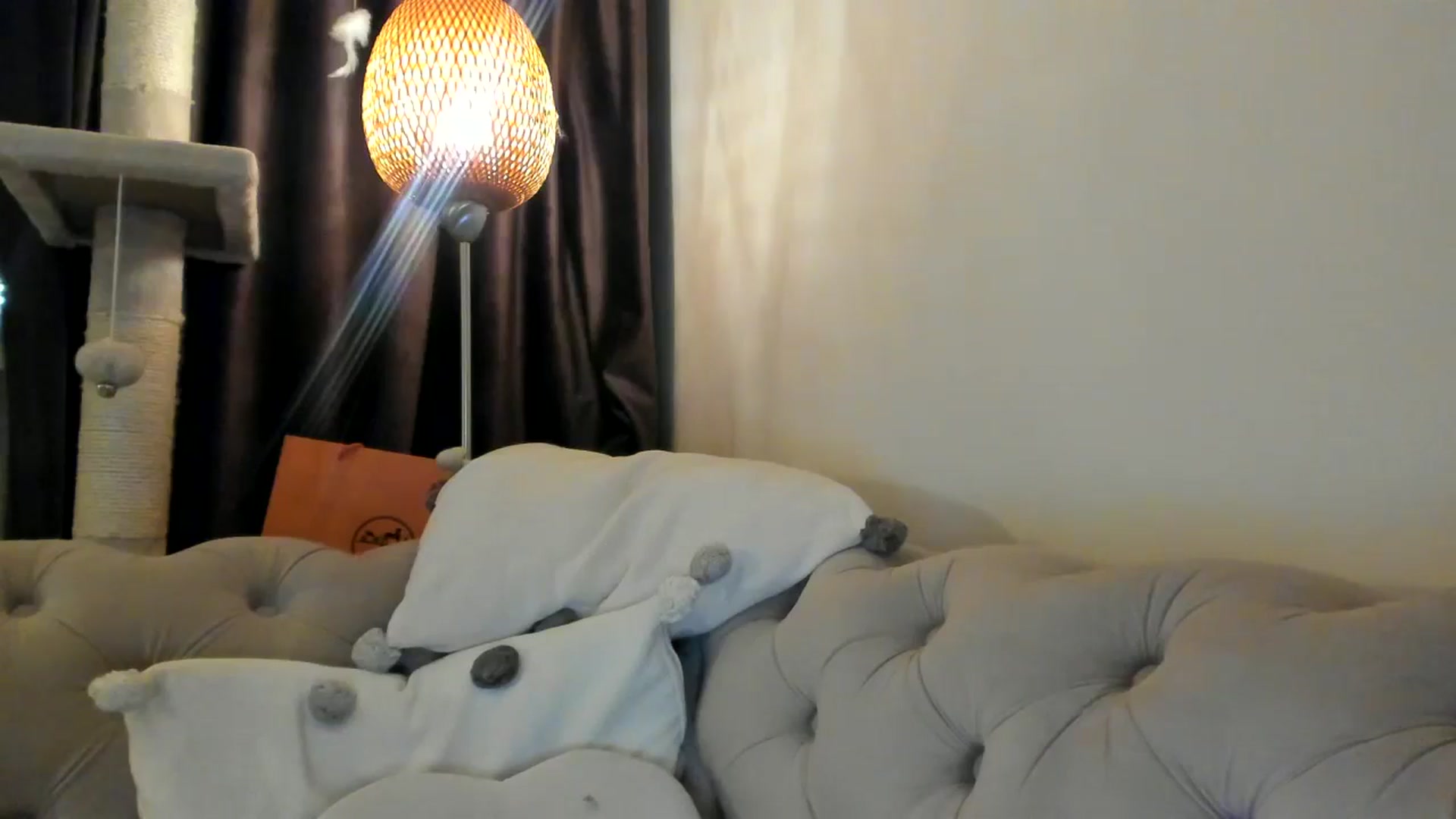 Gallery image thumbnail from SashaLopez's myfreecams stream on, 03/01/2025, 20:28 image 20 of 20
