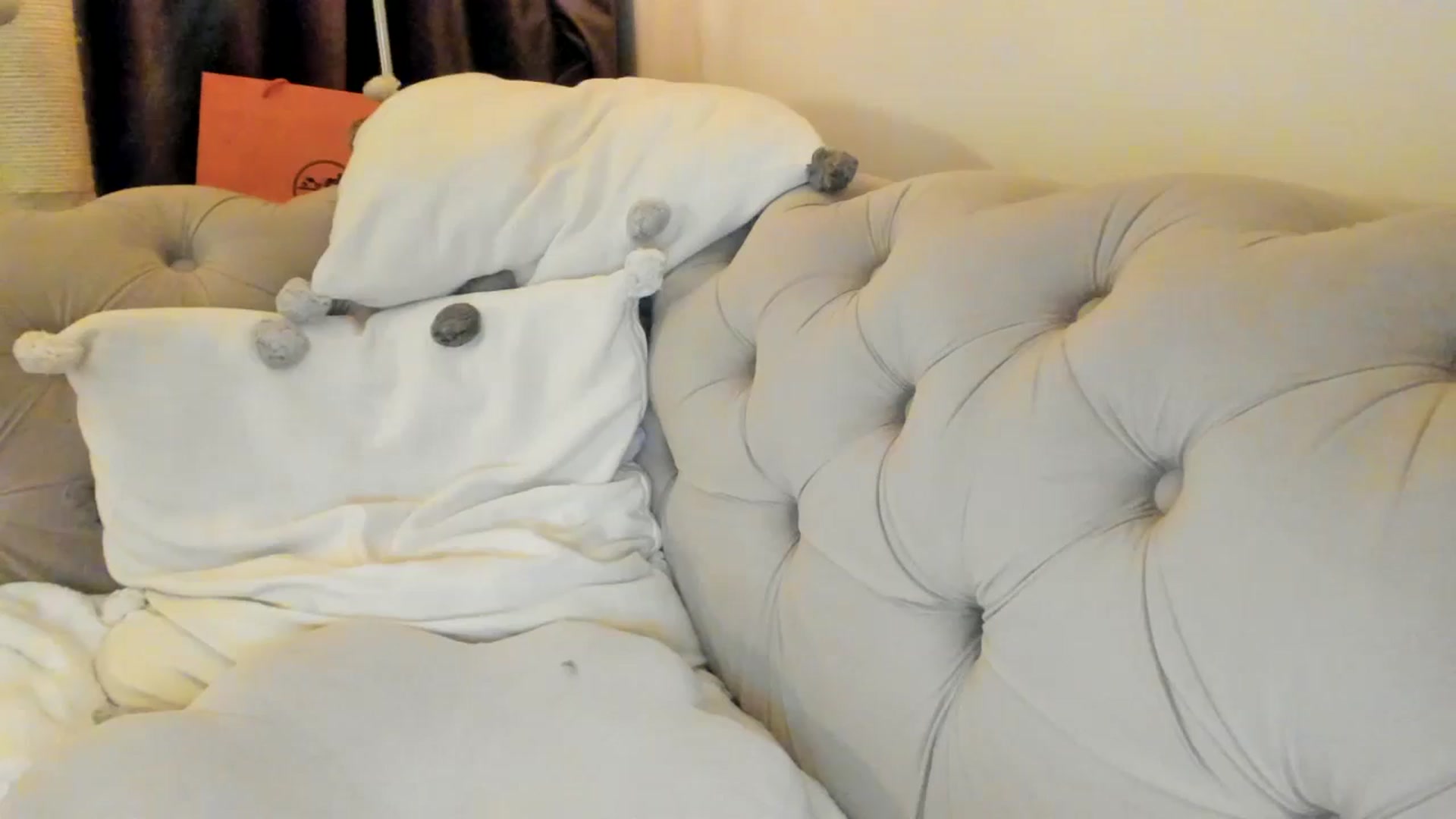 Gallery image thumbnail from SashaLopez's myfreecams stream on, 03/01/2025, 22:37 image 4 of 20