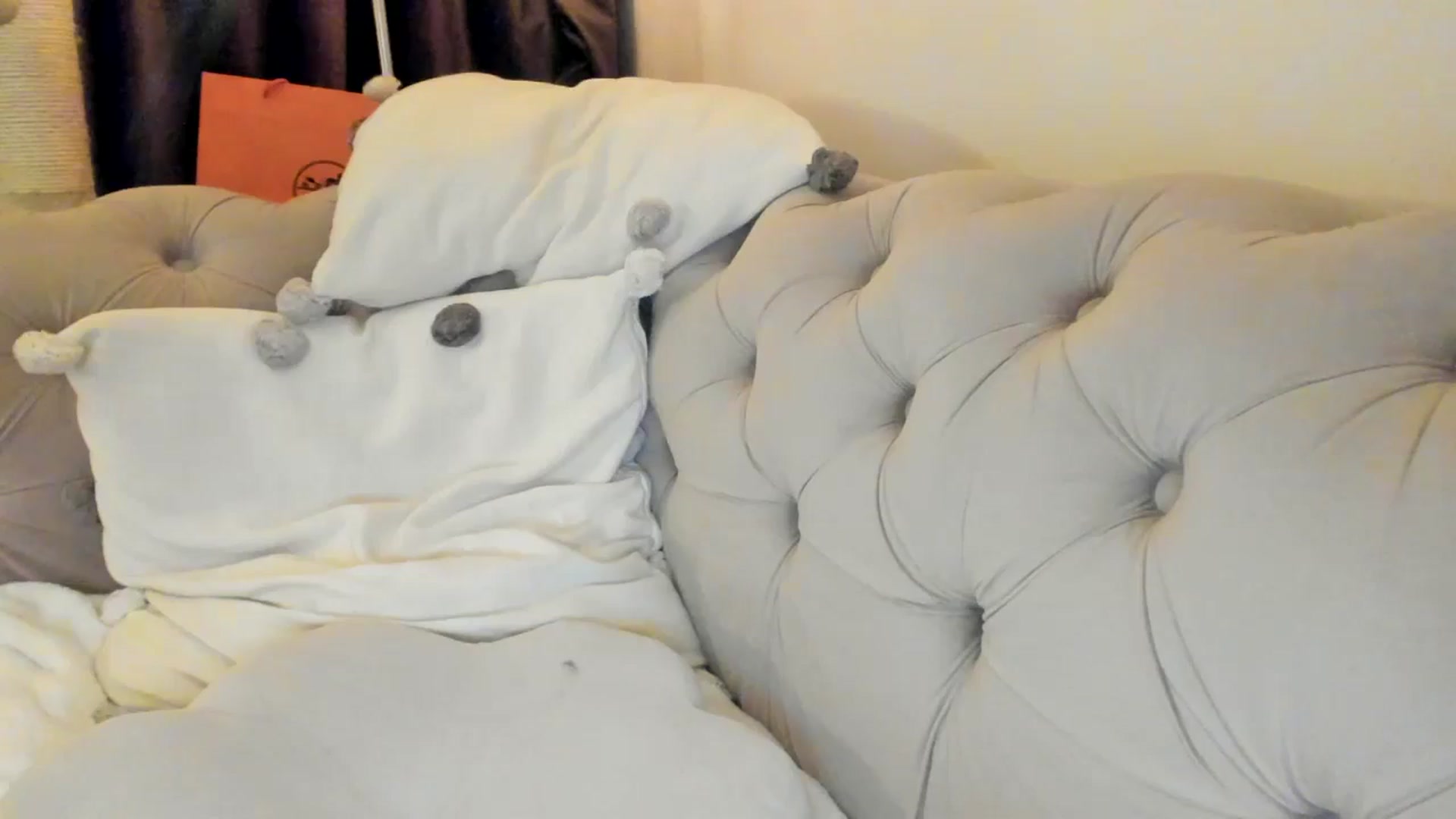 Gallery image thumbnail from SashaLopez's myfreecams stream on, 03/01/2025, 22:37 image 5 of 20