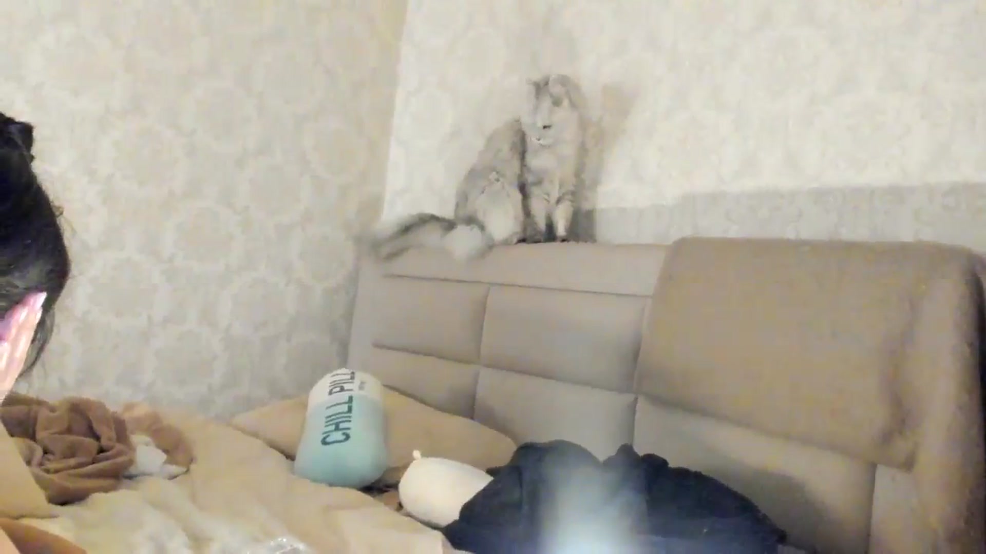 Gallery image thumbnail from SashaLopez's myfreecams stream on, 03/02/2025, 22:21 image 10 of 20