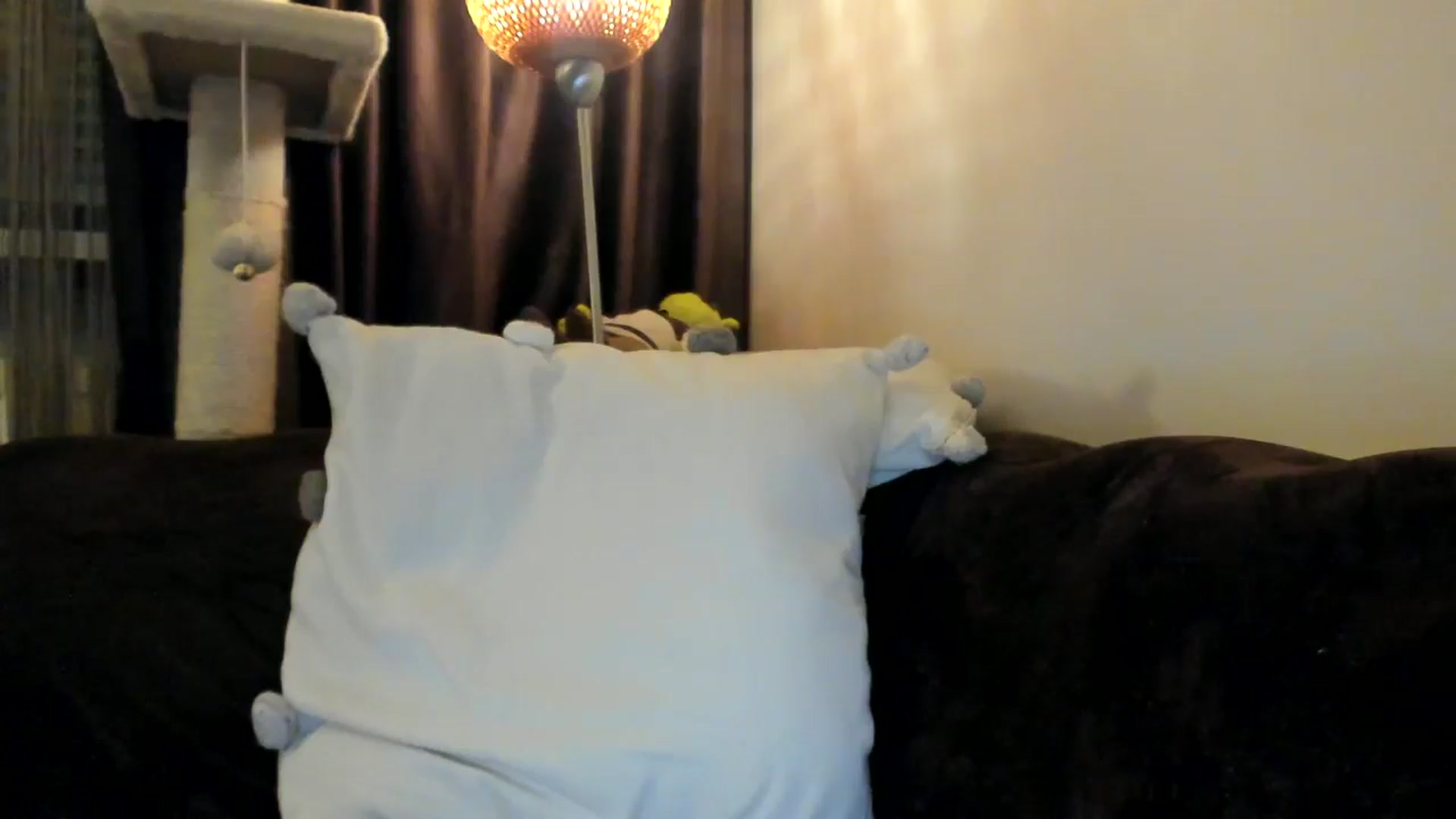 Gallery image thumbnail from SashaLopez's myfreecams stream on, 03/29/2025, 21:38 image 20 of 20
