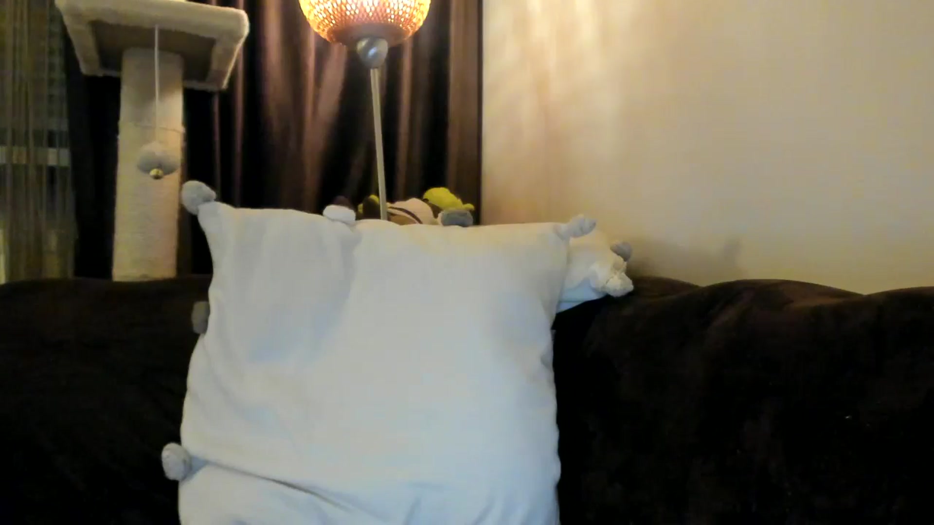 Gallery image thumbnail from SashaLopez's myfreecams stream on, 03/29/2025, 21:38 image 19 of 20