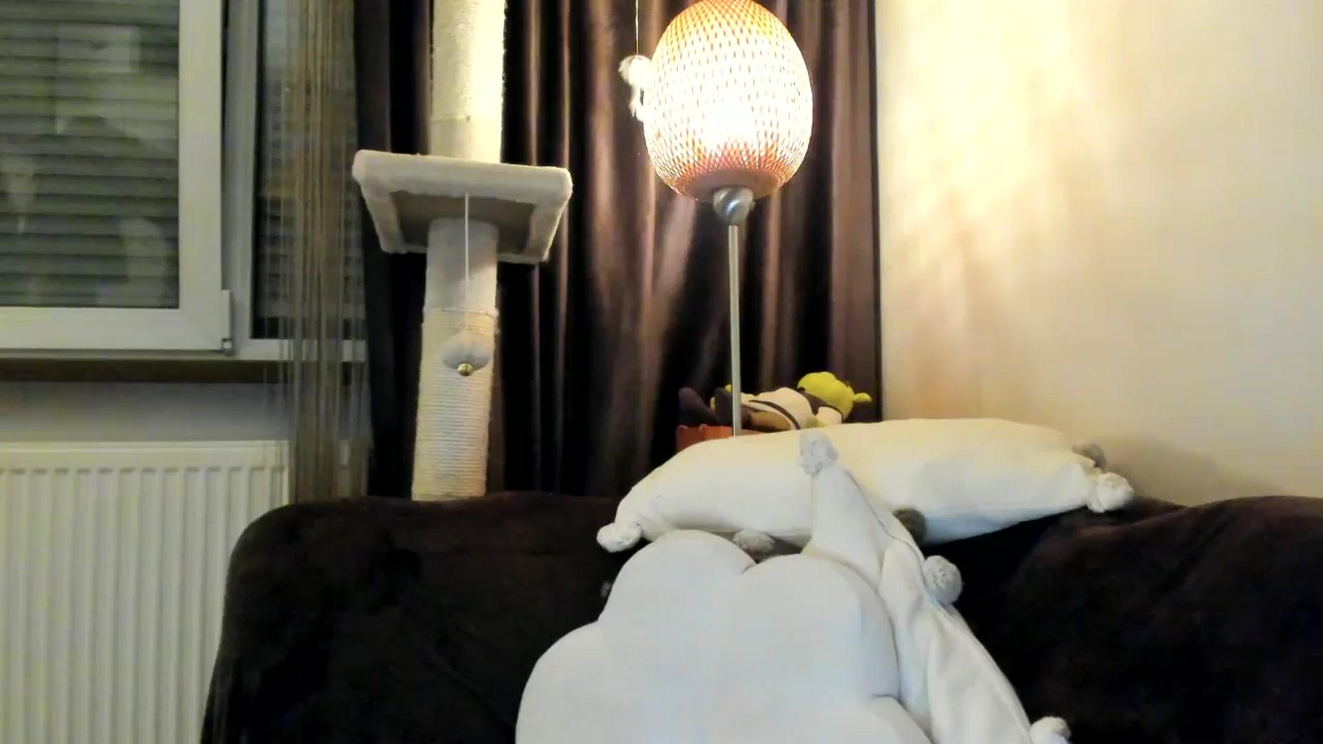 Gallery image thumbnail from SashaLopez's myfreecams stream on, 03/30/2025, 24:46 image 4 of 20