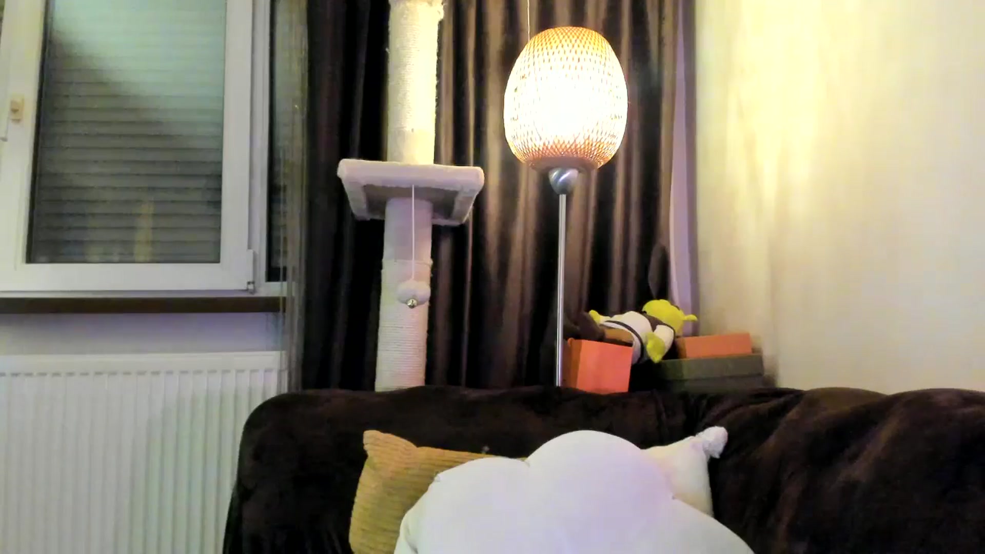 Gallery image thumbnail from SashaLopez's myfreecams stream on, 04/02/2025, 24:33 image 20 of 20