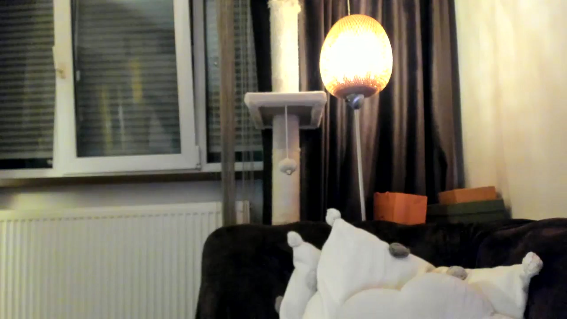 Gallery image thumbnail from SashaLopez's myfreecams stream on, 04/05/2025, 24:02 image 19 of 20