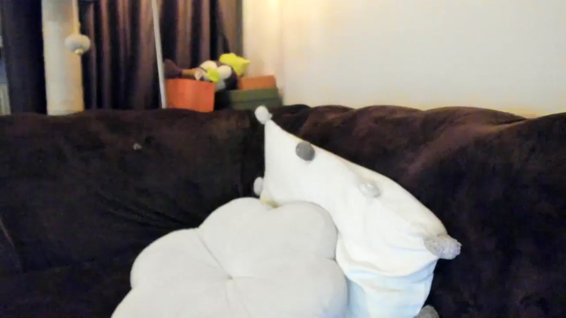 Gallery image thumbnail from SashaLopez's myfreecams stream on, 04/05/2025, 20:51 image 10 of 20