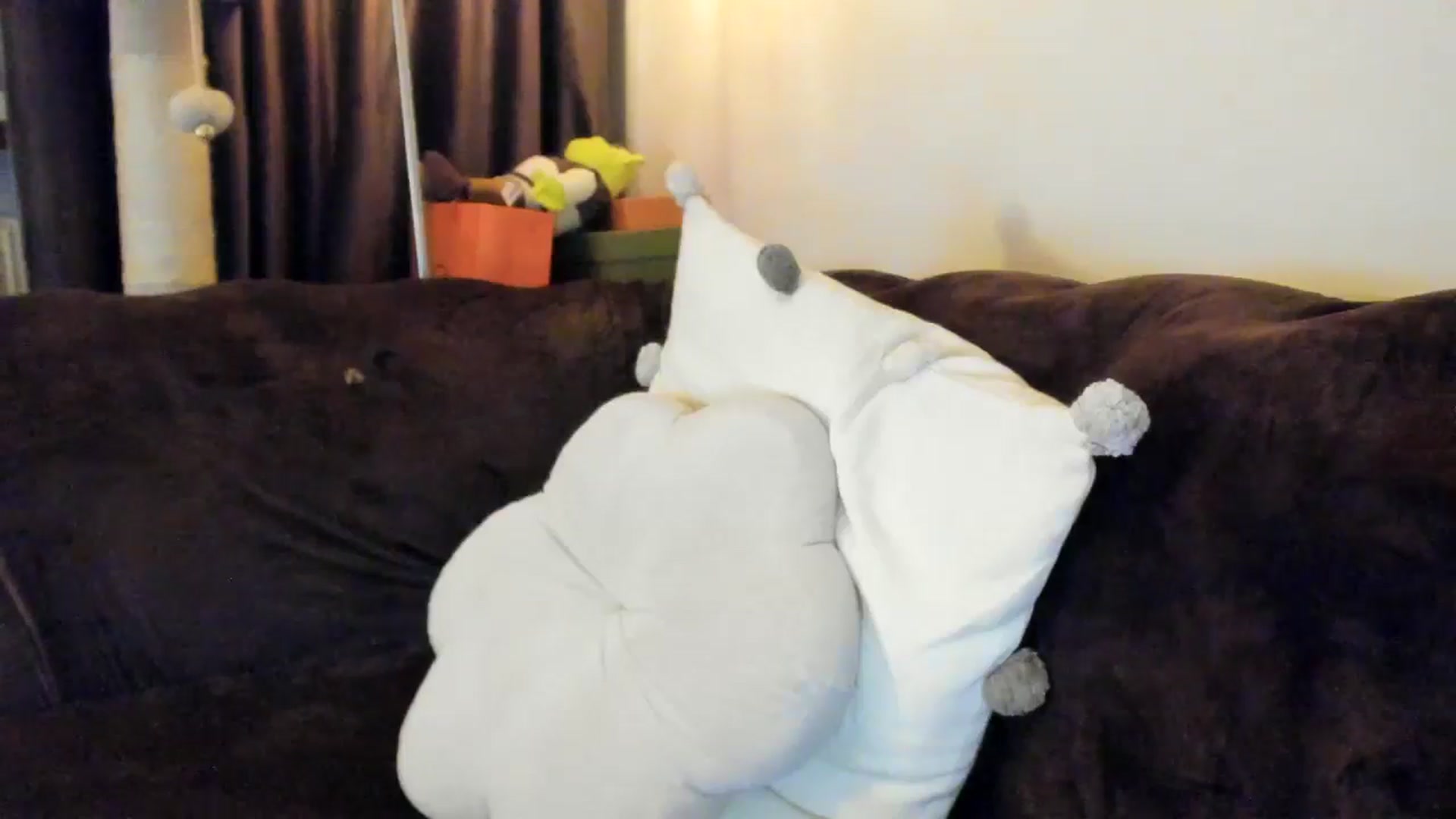 Gallery image thumbnail from SashaLopez's myfreecams stream on, 04/05/2025, 20:51 image 6 of 20