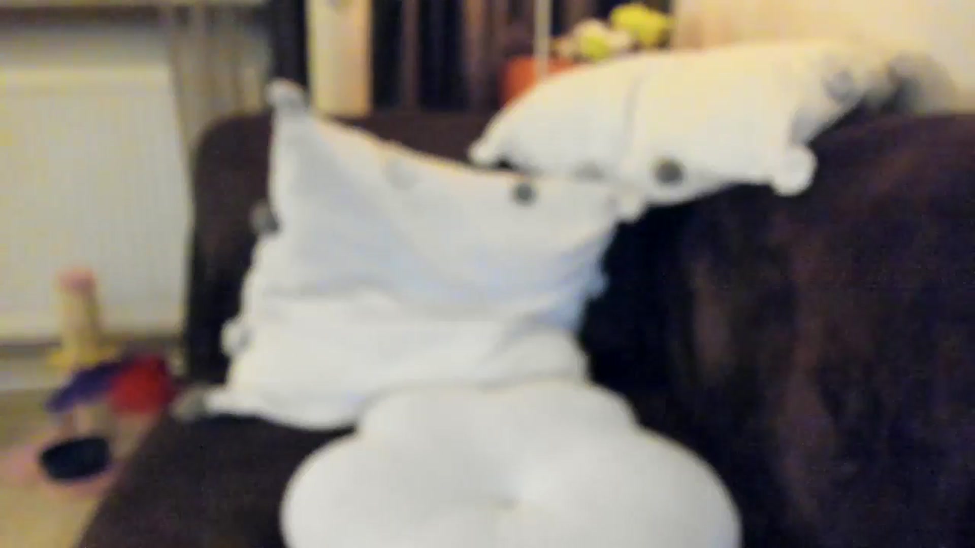 Gallery image thumbnail from SashaLopez's myfreecams stream on, 04/07/2025, 23:01 image 9 of 20