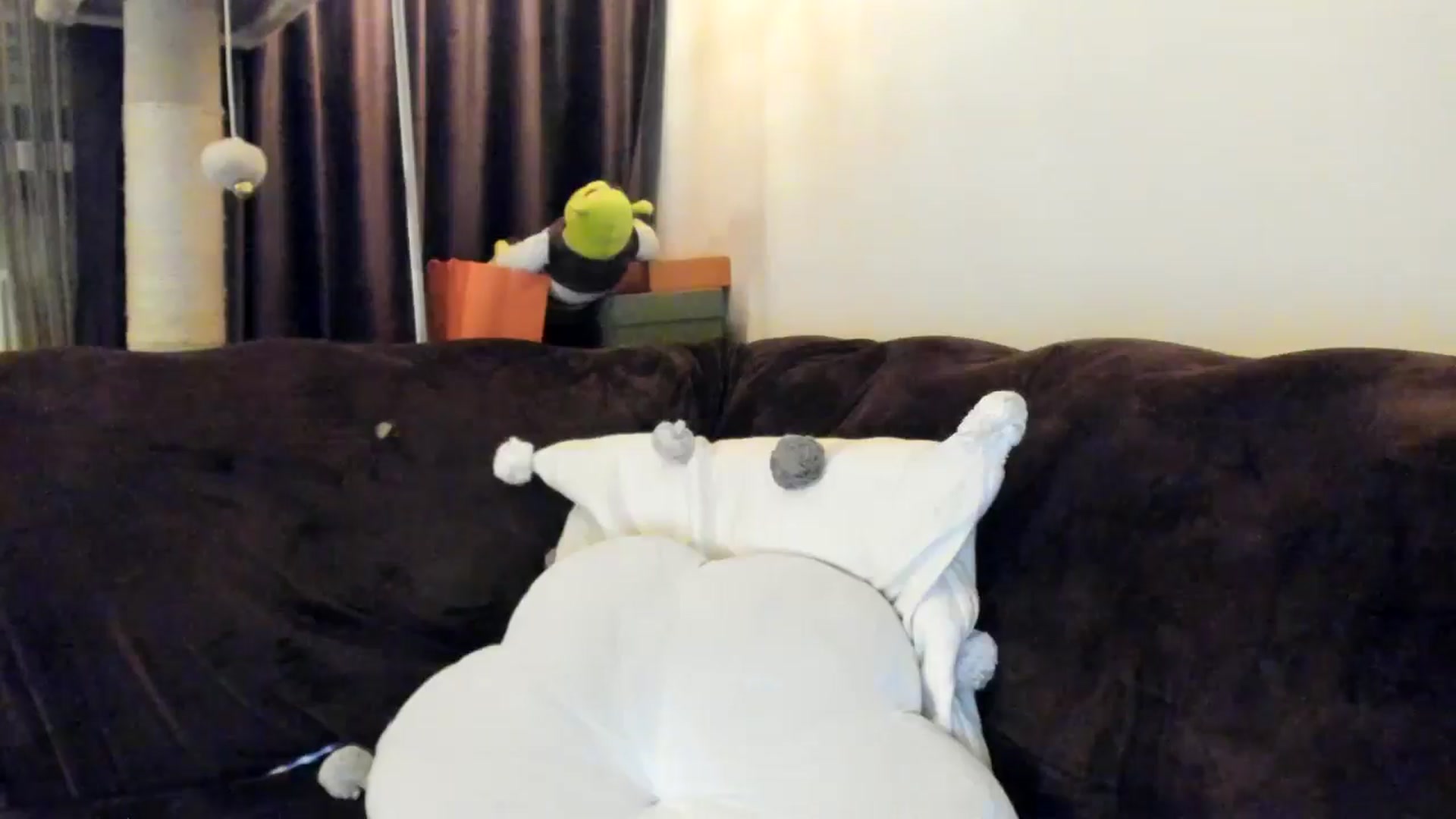Gallery image thumbnail from SashaLopez's myfreecams stream on, 04/11/2025, 21:36 image 6 of 20