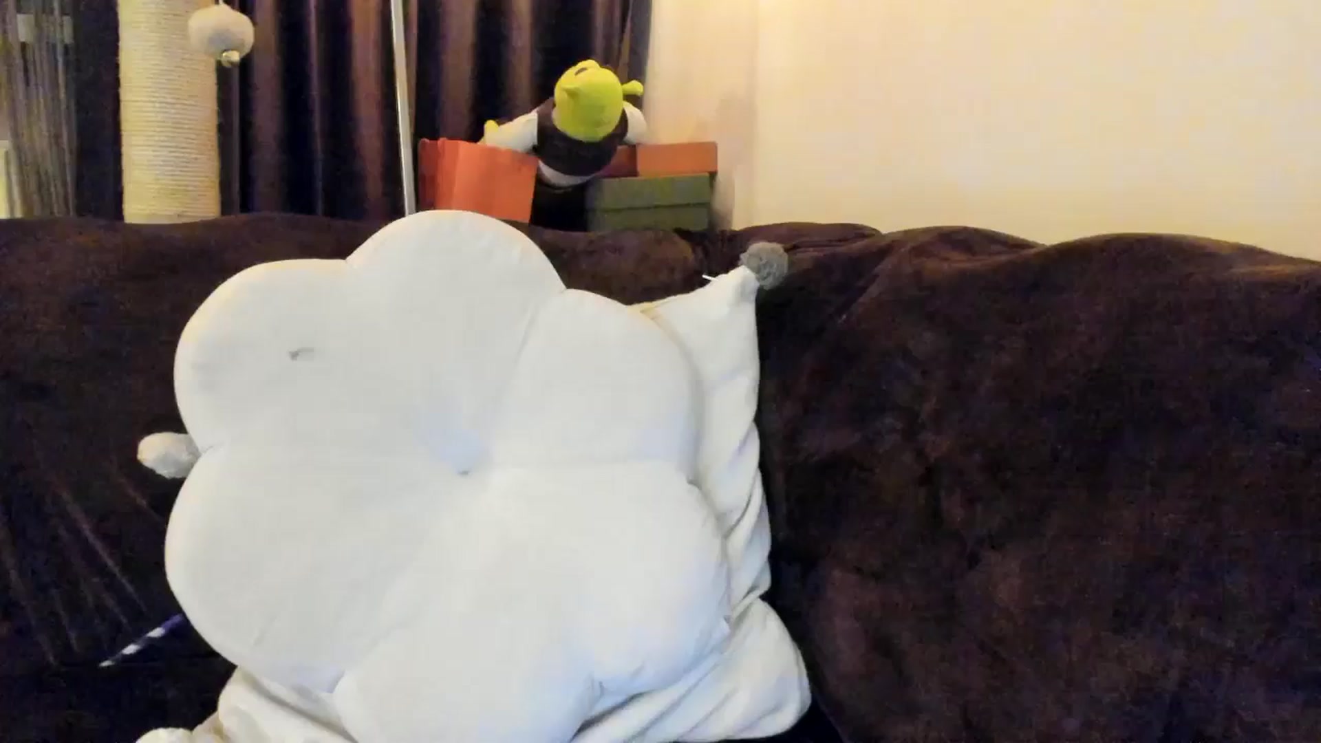 Gallery image thumbnail from SashaLopez's myfreecams stream on, 04/11/2025, 22:58 image 16 of 20