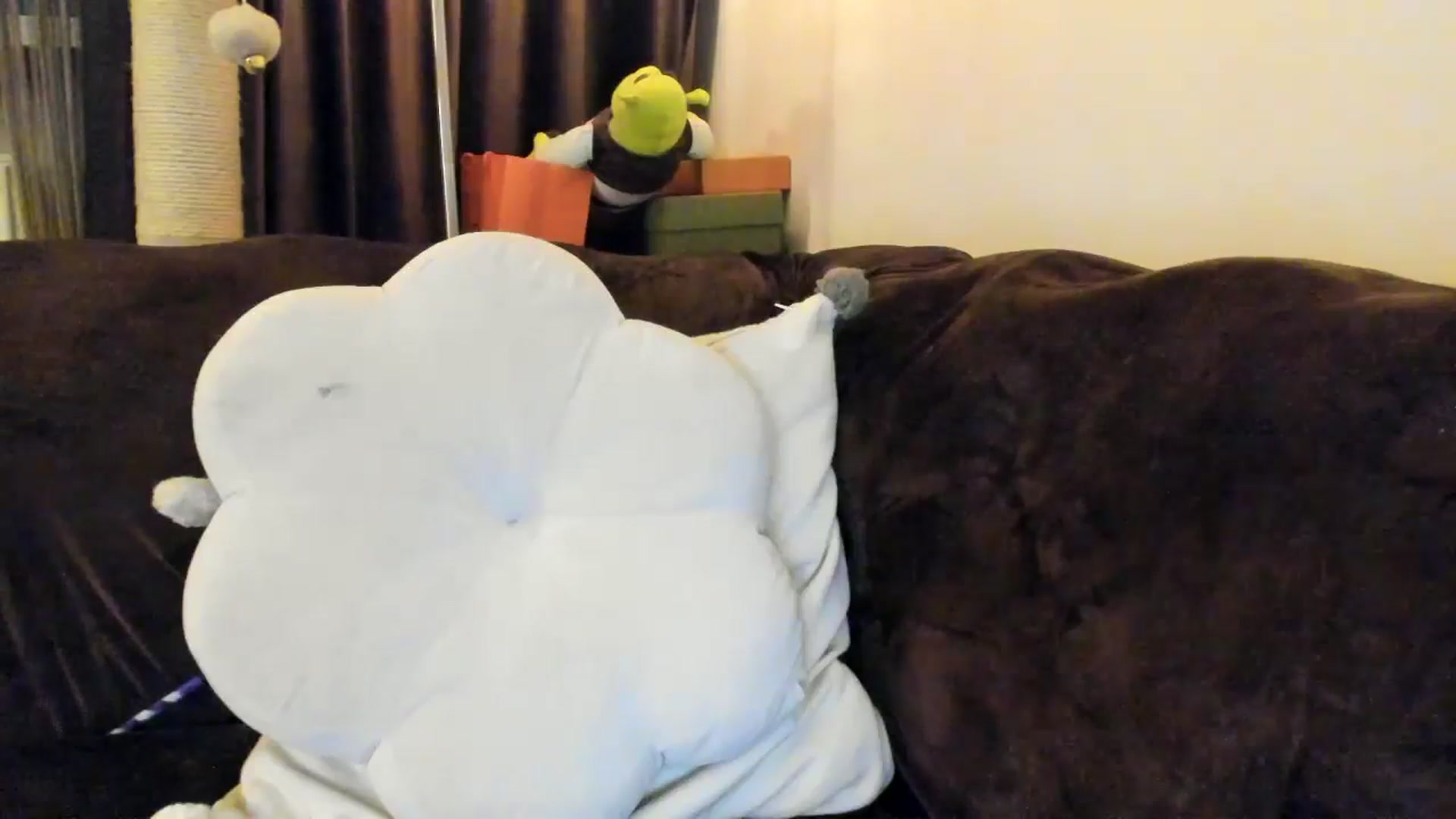 Gallery image thumbnail from SashaLopez's myfreecams stream on, 04/11/2025, 22:58 image 11 of 20