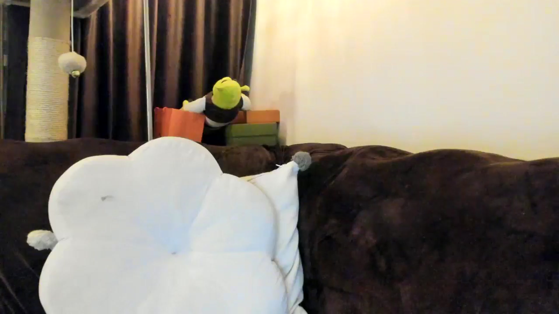 Gallery image thumbnail from SashaLopez's myfreecams stream on, 04/11/2025, 22:58 image 18 of 20