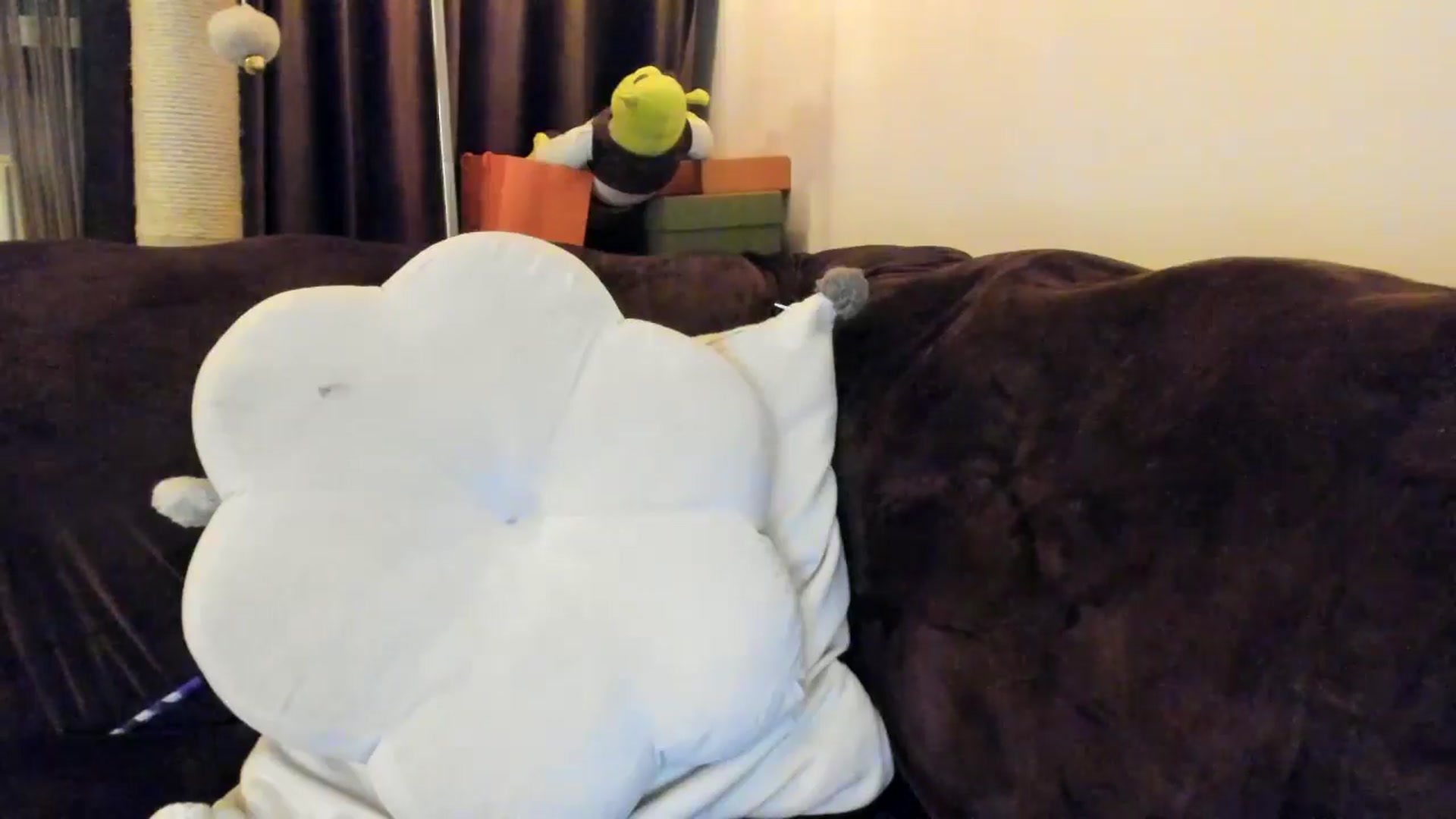 Gallery image thumbnail from SashaLopez's myfreecams stream on, 04/11/2025, 22:58 image 14 of 20