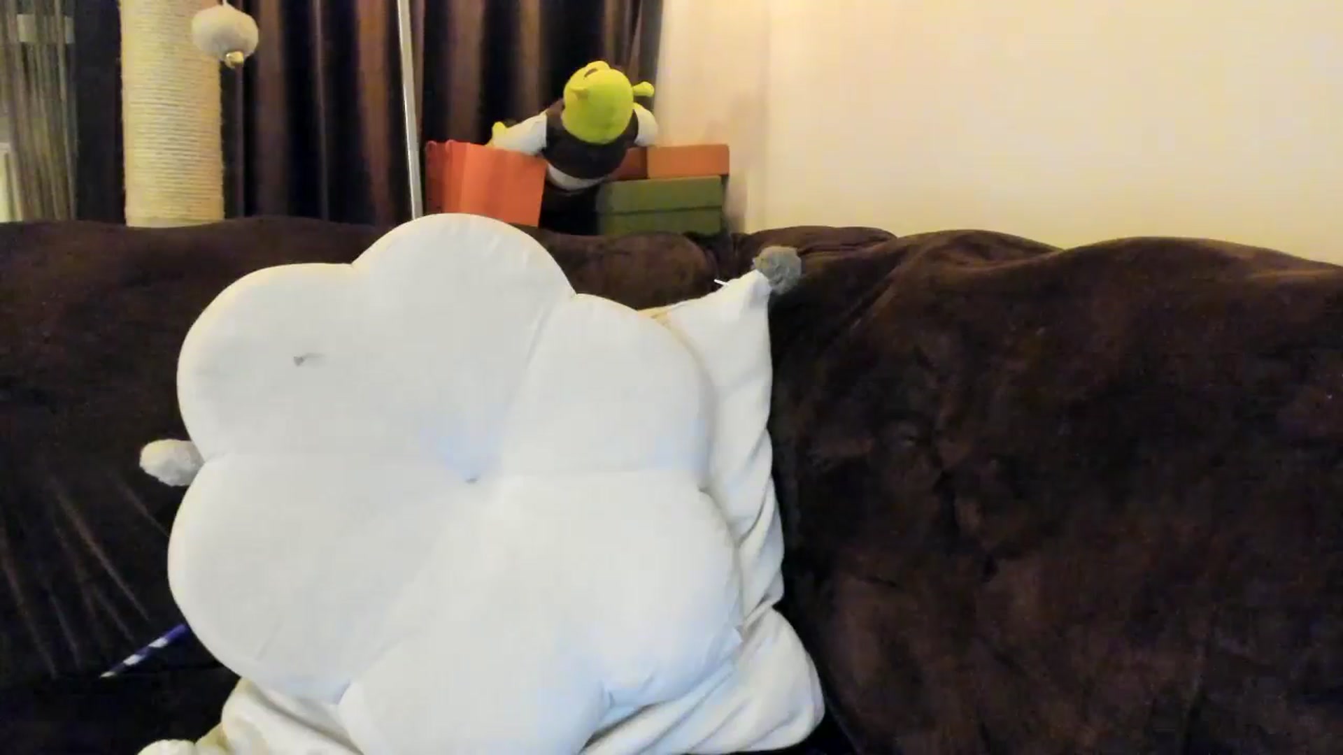 Gallery image thumbnail from SashaLopez's myfreecams stream on, 04/11/2025, 22:58 image 15 of 20