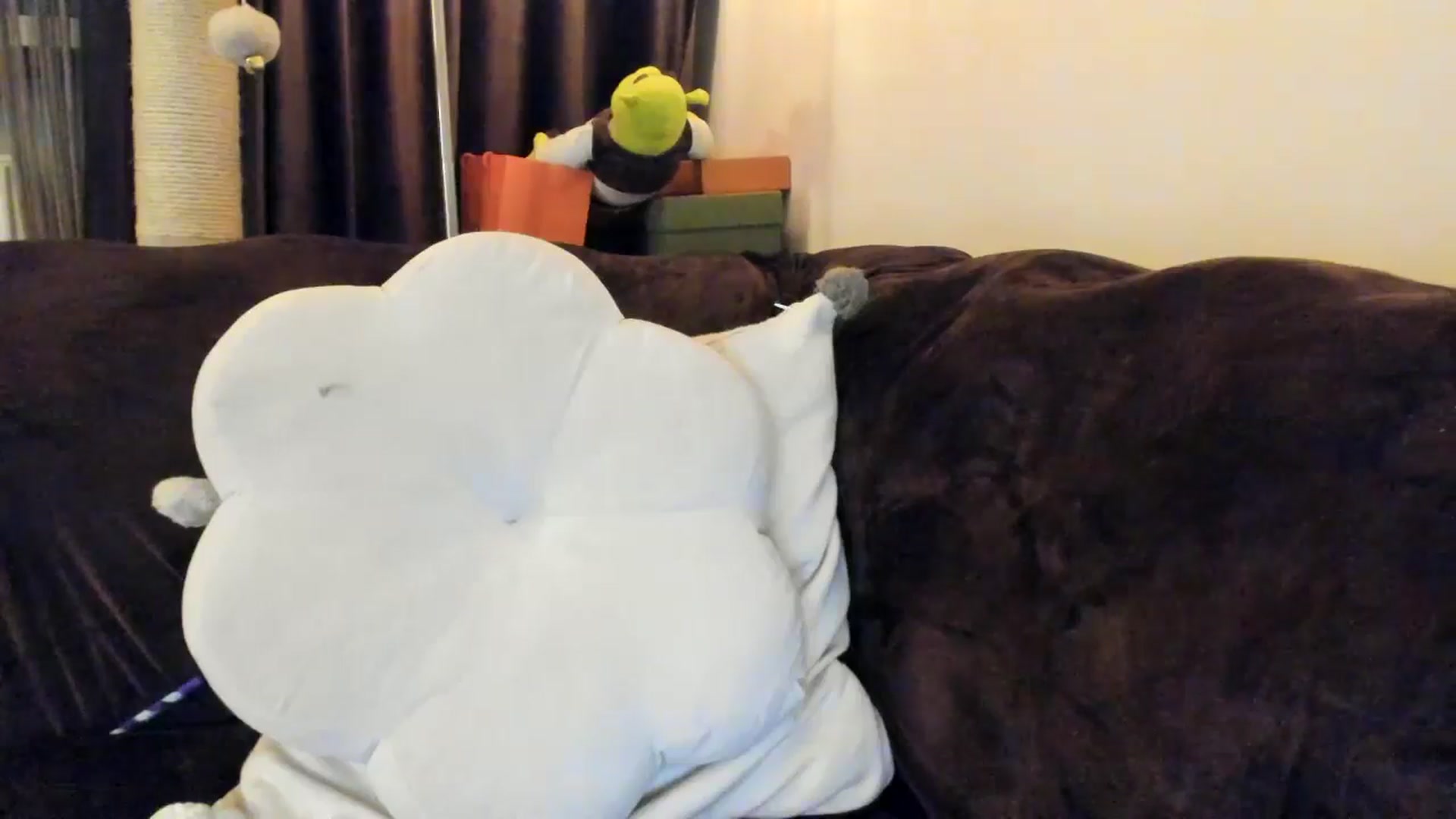 Gallery image thumbnail from SashaLopez's myfreecams stream on, 04/11/2025, 22:58 image 13 of 20
