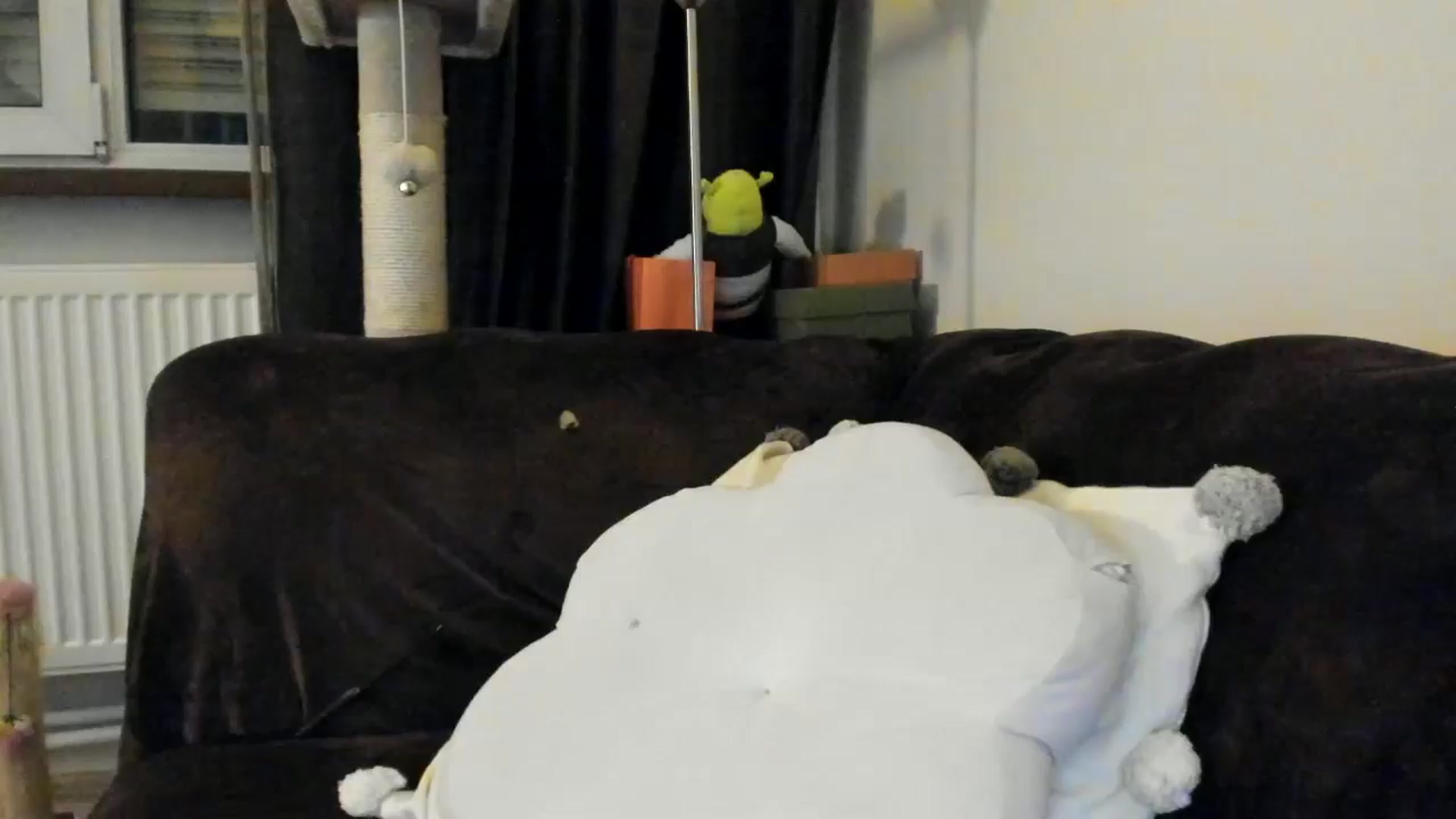 Gallery image thumbnail from SashaLopez's myfreecams stream on, 04/12/2025, 21:41 image 2 of 20