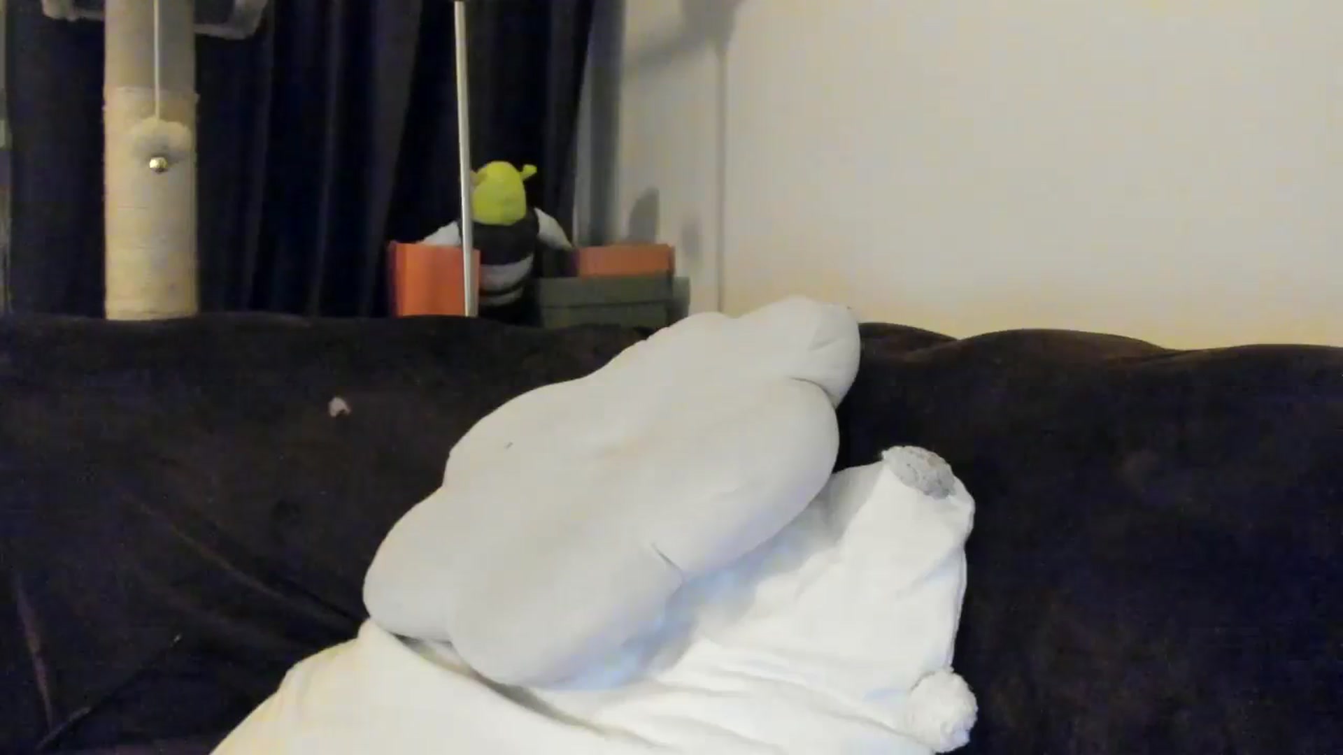 Gallery image thumbnail from SashaLopez's myfreecams stream on, 04/12/2025, 21:41 image 11 of 20