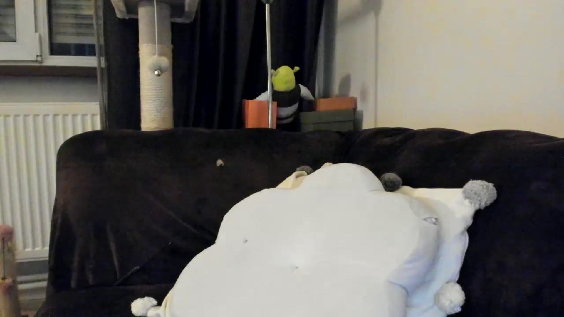 Gallery image thumbnail from SashaLopez's myfreecams stream on, 04/12/2025, 21:41 image 3 of 20