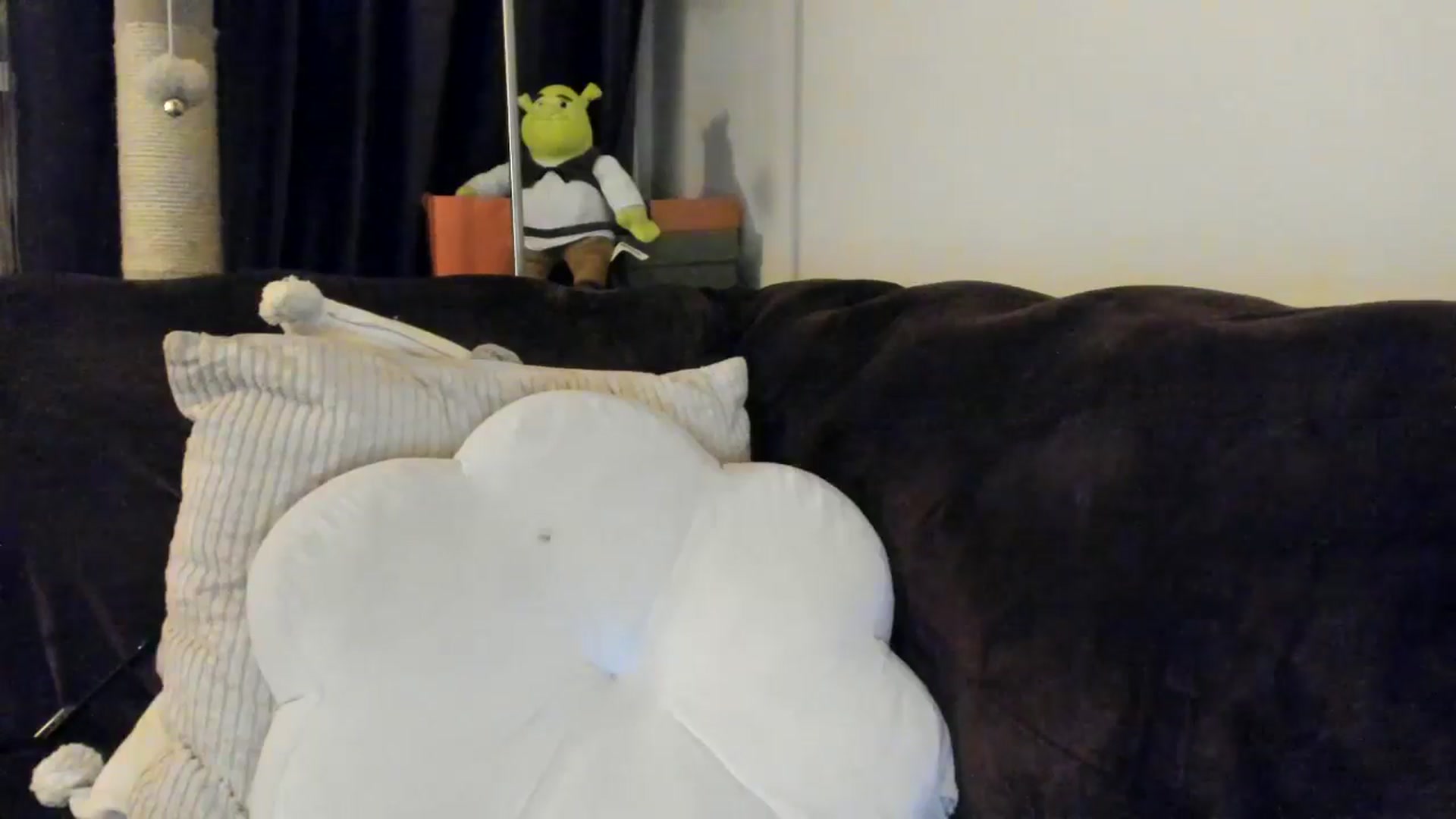 Gallery image thumbnail from SashaLopez's myfreecams stream on, 04/12/2025, 23:15 image 3 of 20