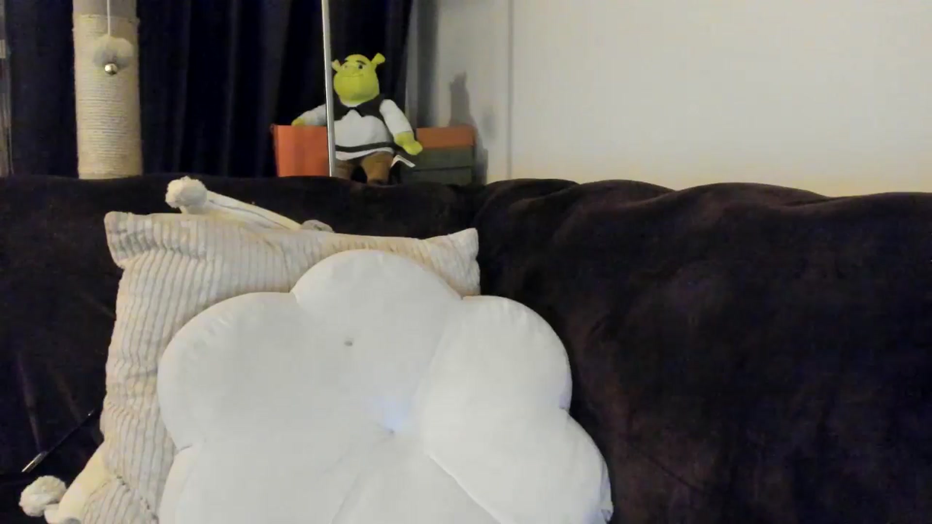 Gallery image thumbnail from SashaLopez's myfreecams stream on, 04/12/2025, 23:15 image 5 of 20