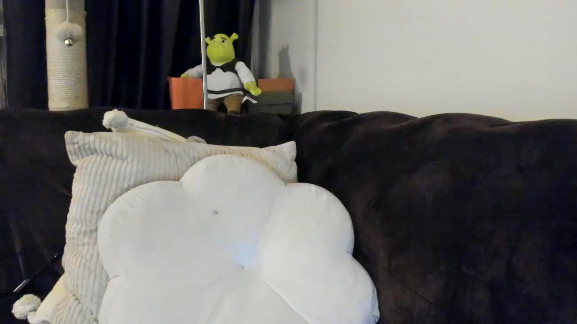 Gallery image thumbnail from SashaLopez's myfreecams stream on, 04/12/2025, 23:15 image 4 of 20