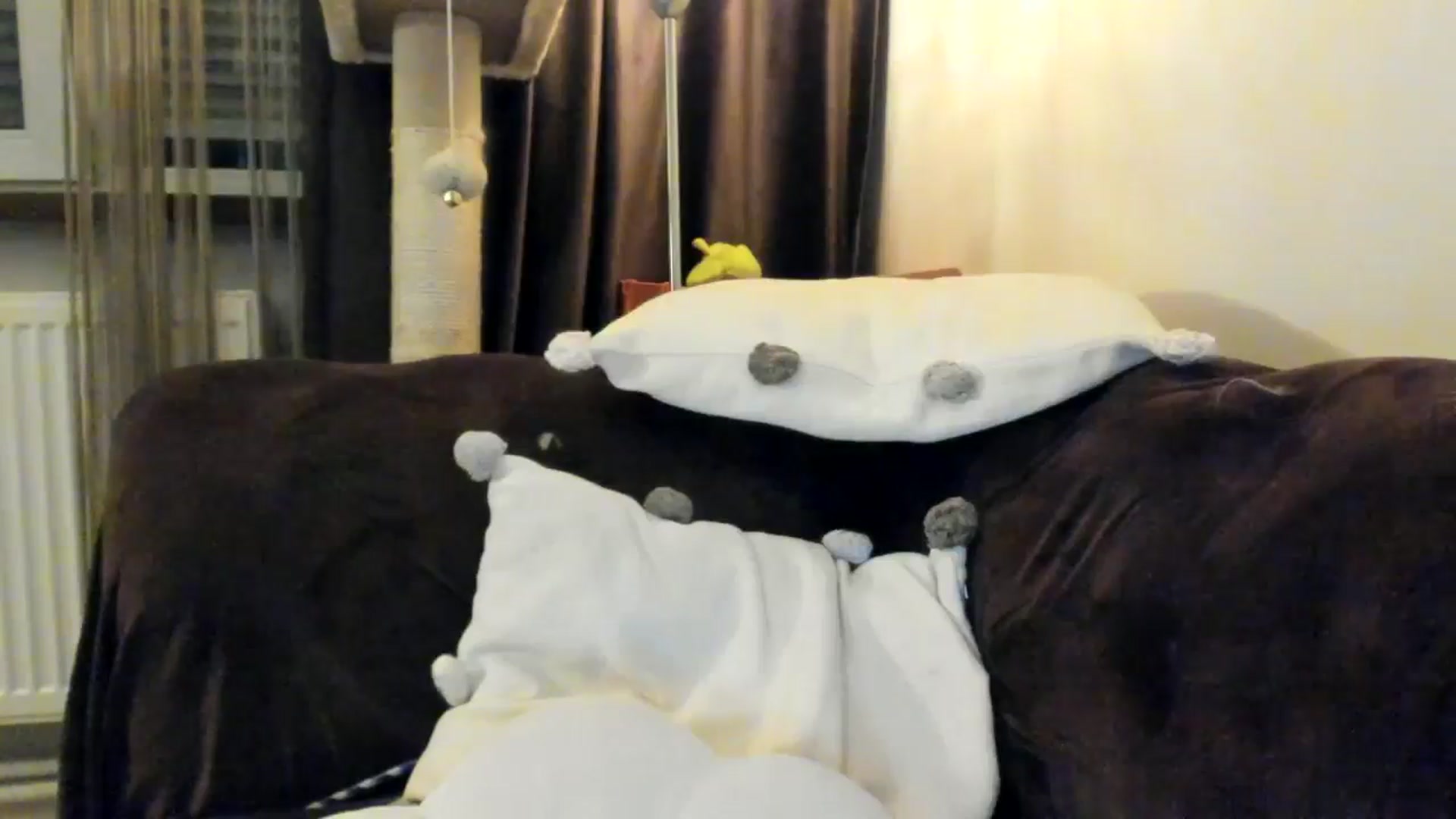 Gallery image thumbnail from SashaLopez's myfreecams stream on, 04/25/2025, 22:30 image 18 of 20