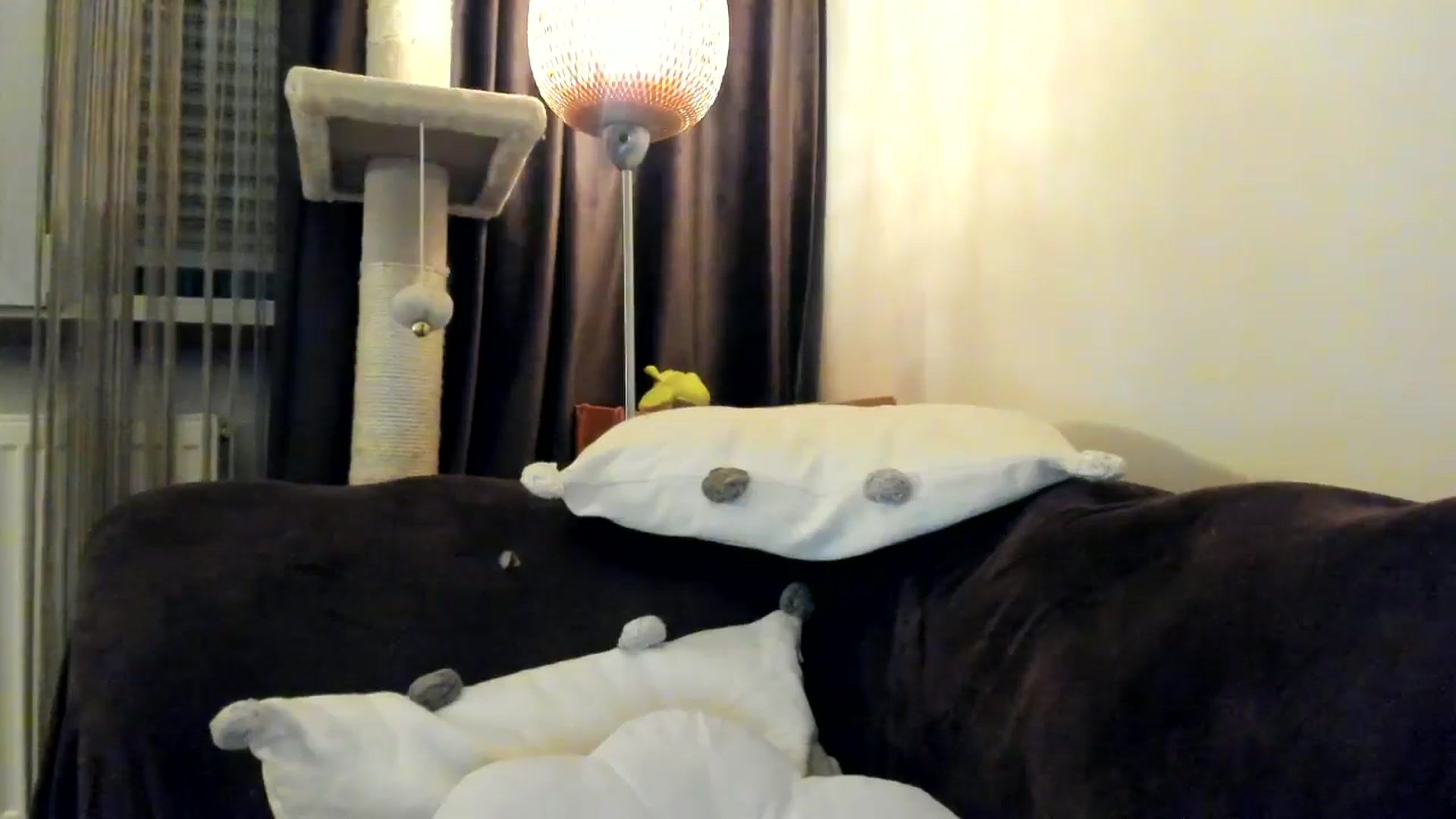 Gallery image thumbnail from SashaLopez's myfreecams stream on, 04/25/2025, 23:06 image 16 of 20