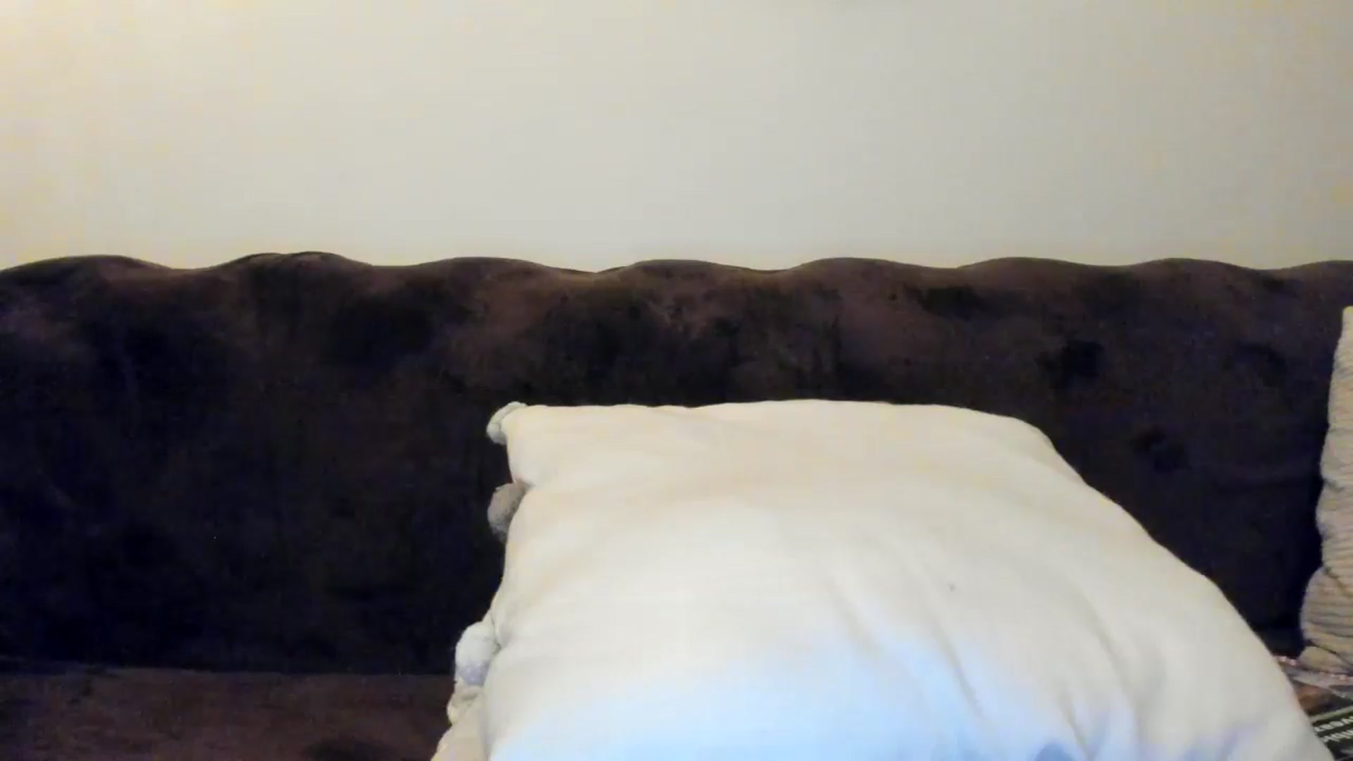 Gallery image thumbnail from SashaLopez's myfreecams stream on, 05/01/2025, 20:59 image 18 of 20