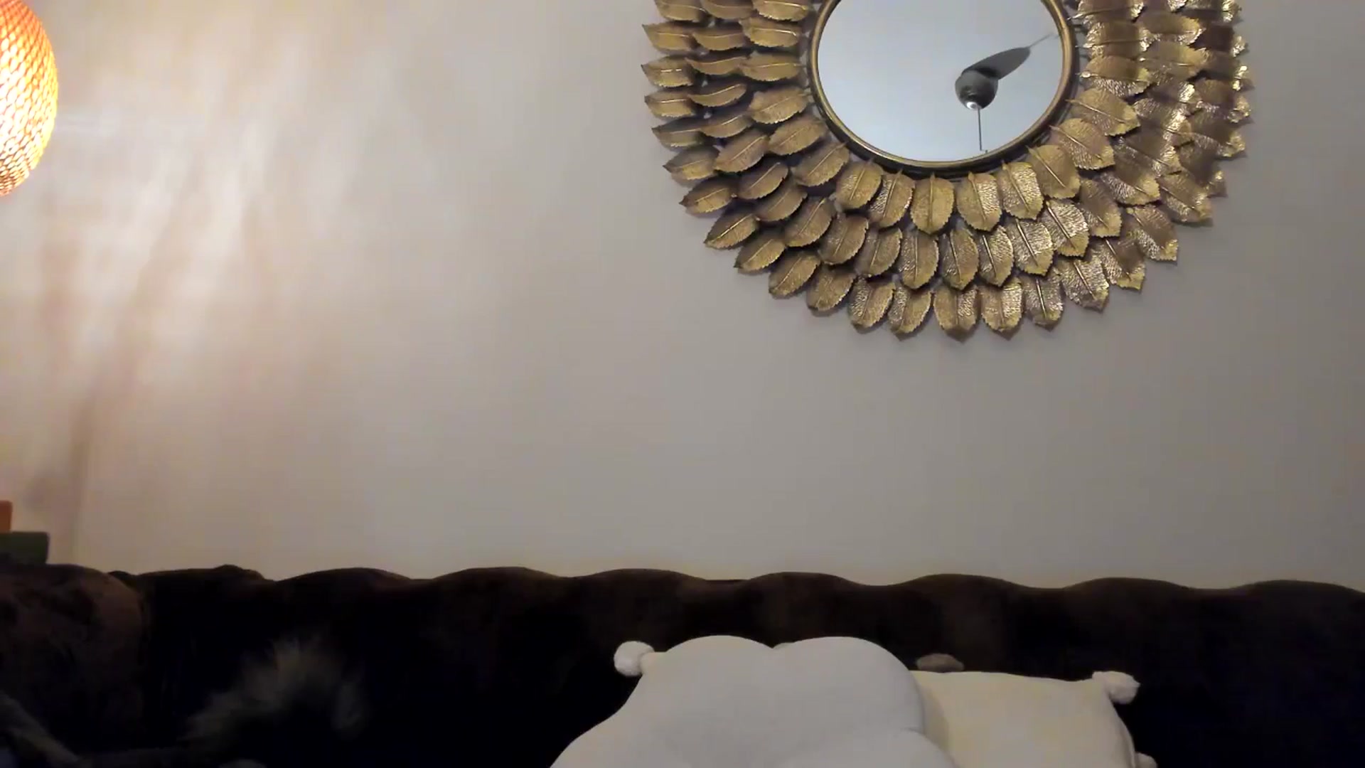 Gallery image thumbnail from SashaLopez's myfreecams stream on, 05/03/2025, 24:26 image 20 of 20