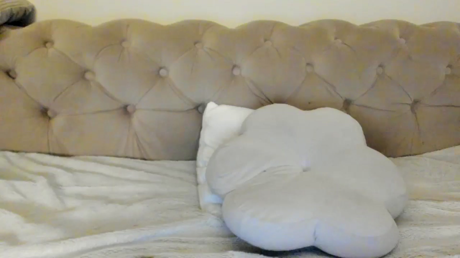 Gallery image thumbnail from SashaLopez's myfreecams stream on, 06/04/2025, 23:05 image 3 of 20