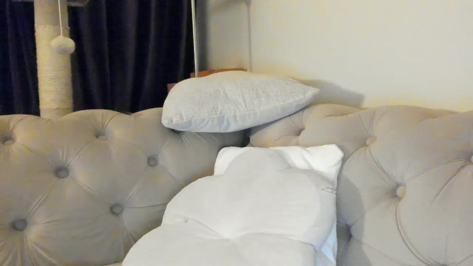 Gallery image thumbnail from SashaLopez's myfreecams stream on, 06/08/2025, 22:05 image 15 of 20