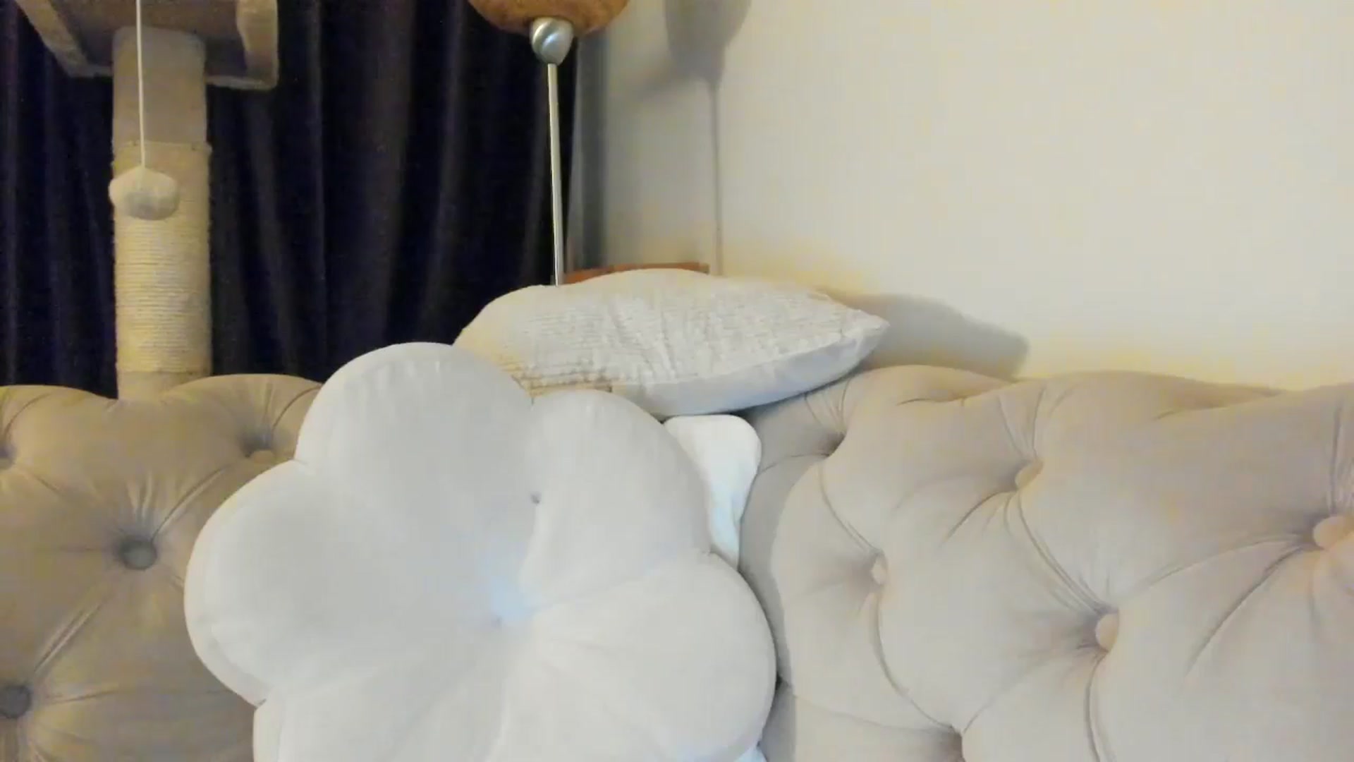 Gallery image thumbnail from SashaLopez's myfreecams stream on, 06/08/2025, 22:05 image 7 of 20