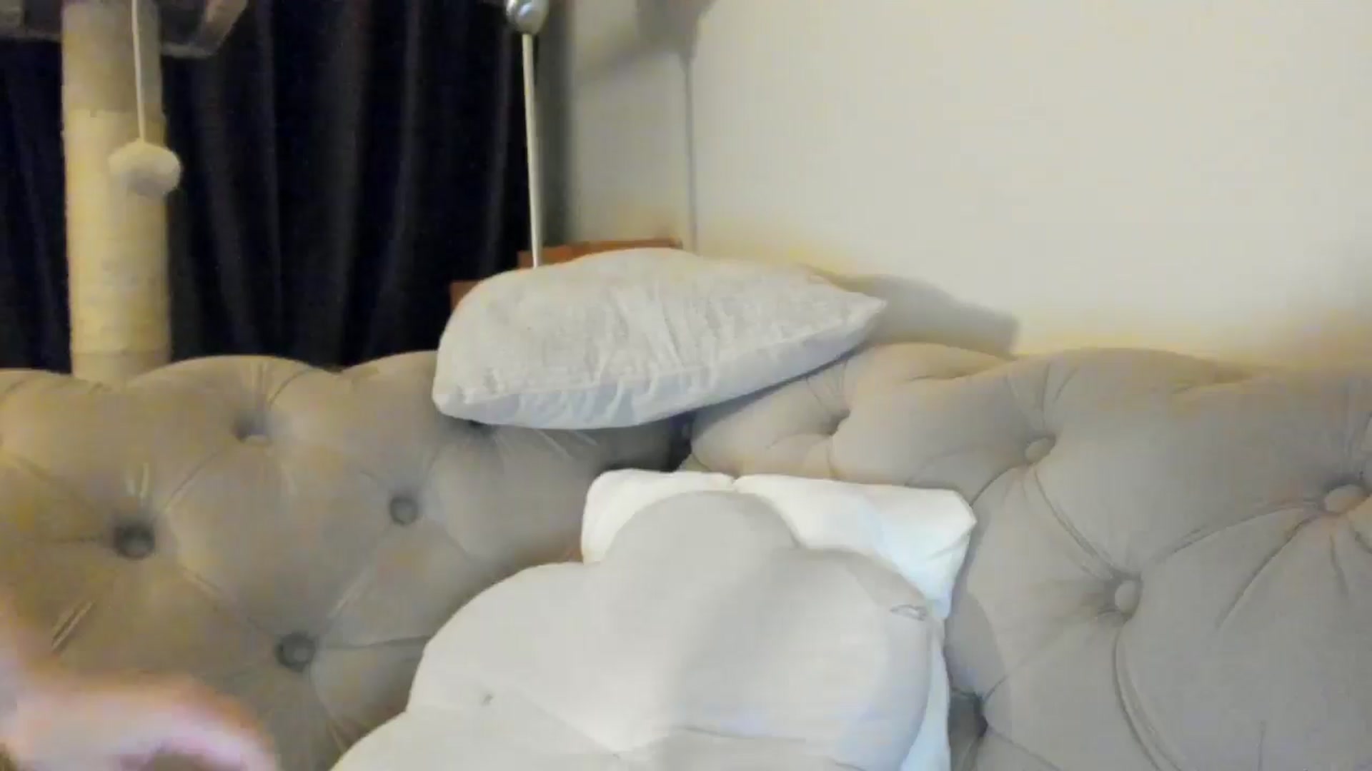 Gallery image thumbnail from SashaLopez's myfreecams stream on, 06/08/2025, 22:05 image 17 of 20