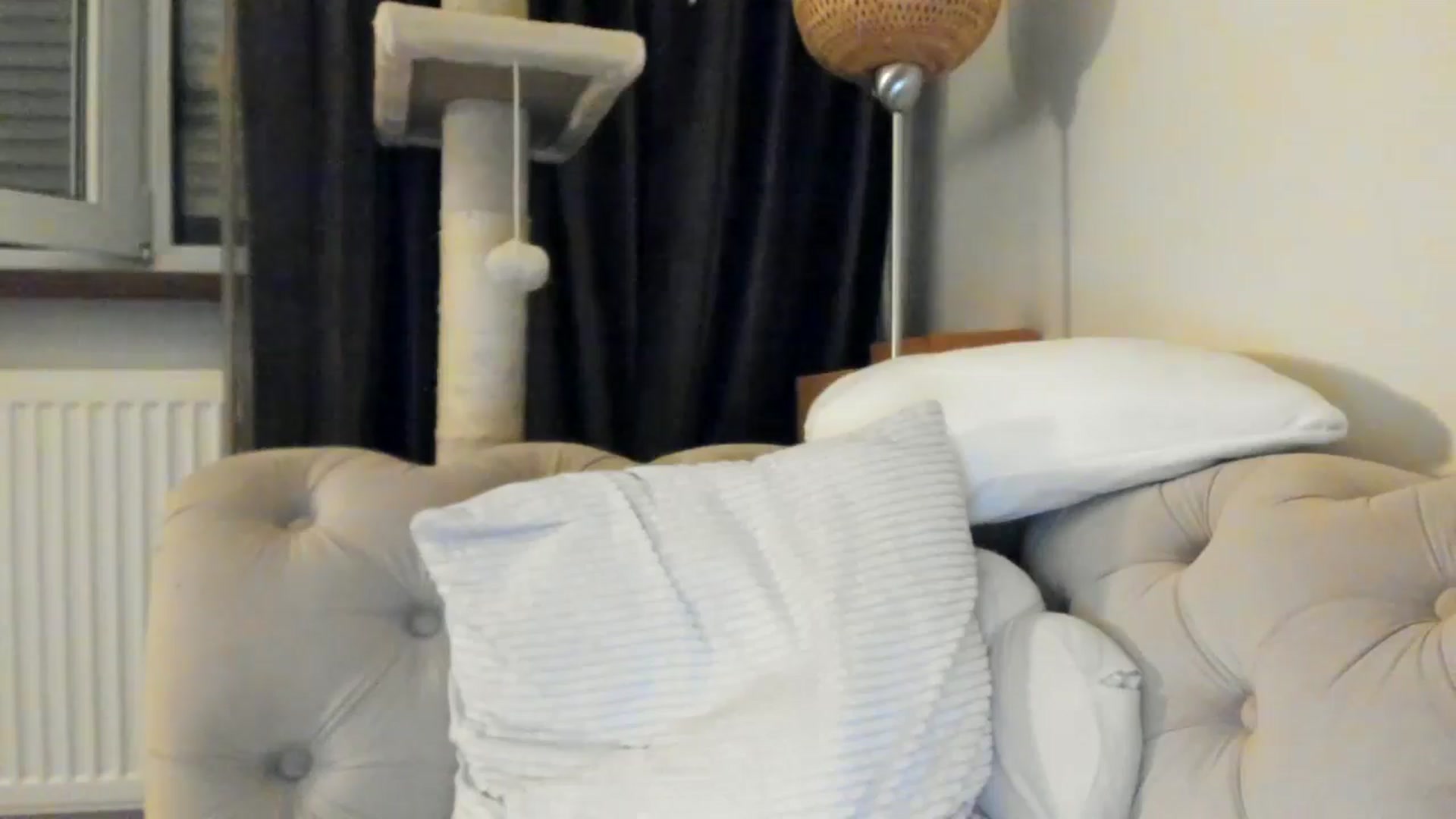 Gallery image thumbnail from SashaLopez's myfreecams stream on, 06/15/2025, 21:39 image 16 of 20